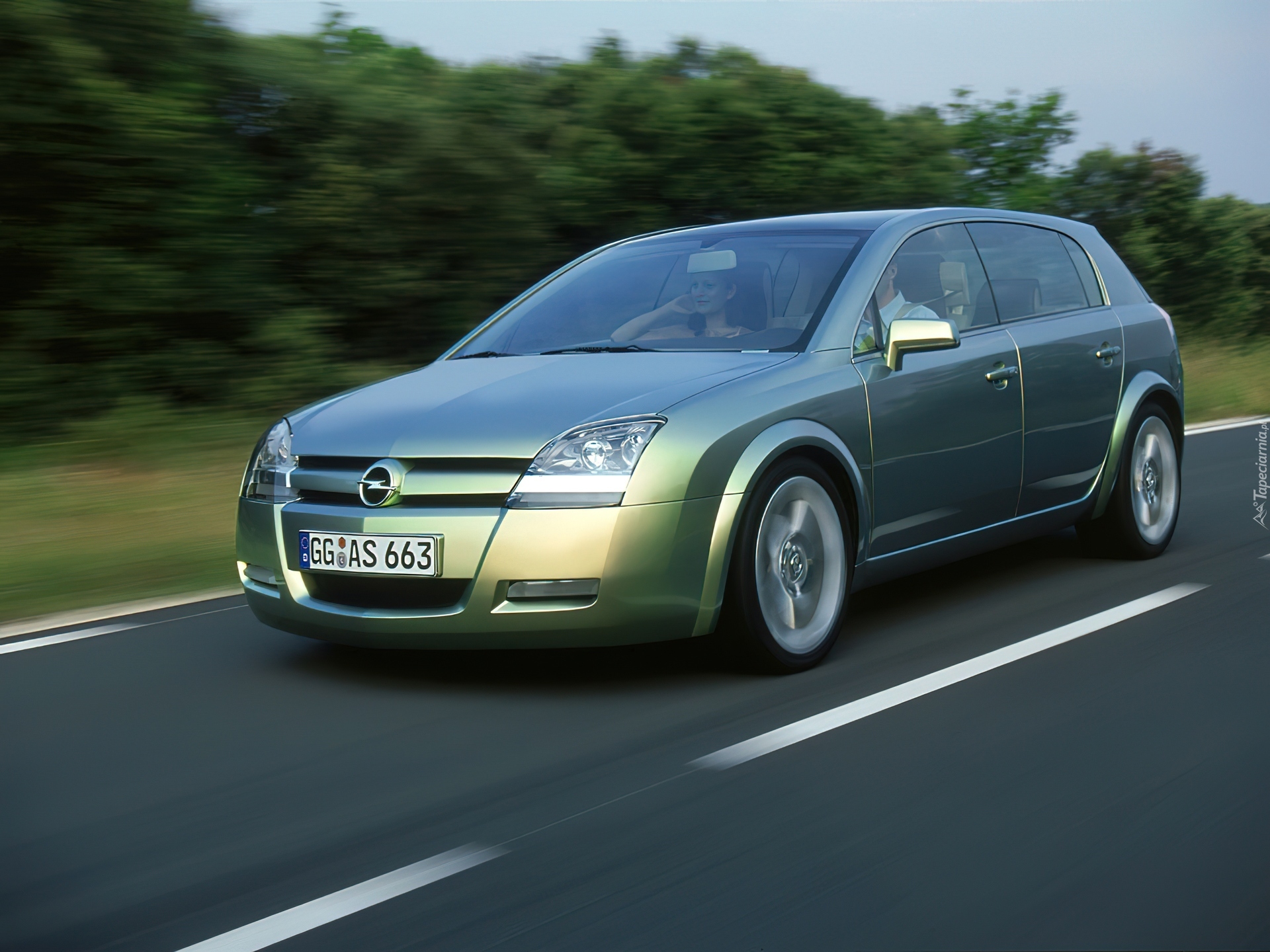 Opel Signum