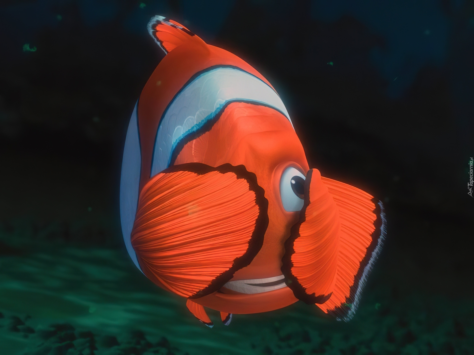 Rybka, Gdzie jest Nemo, Finding Nemo