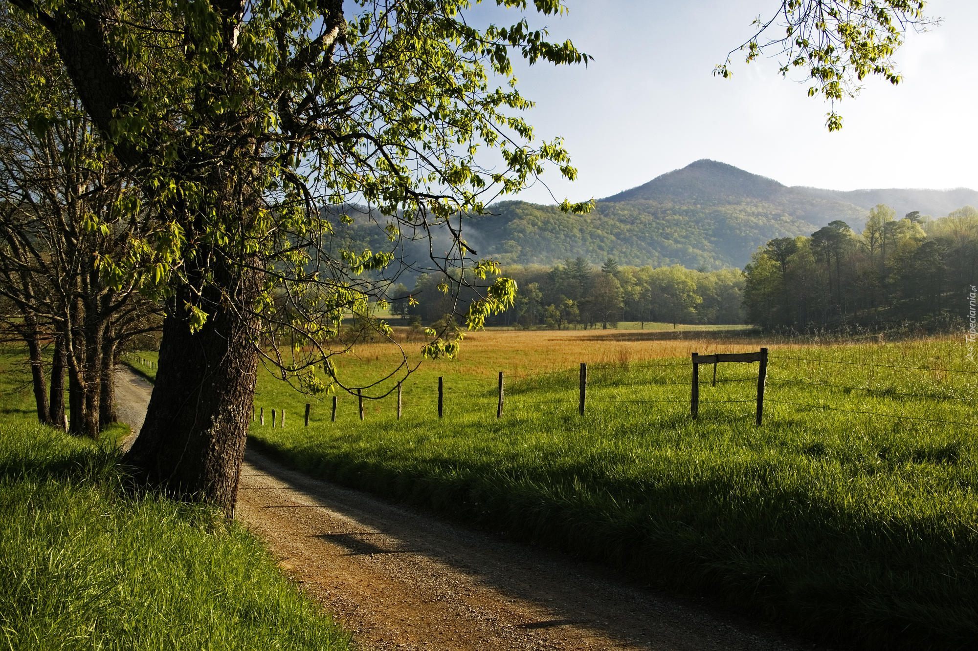 Countryside walks. Штат Теннесси природа. Штат Теннесси деревни. Штат Теннесси горы. Штат Теннесси природа в Теннесси.