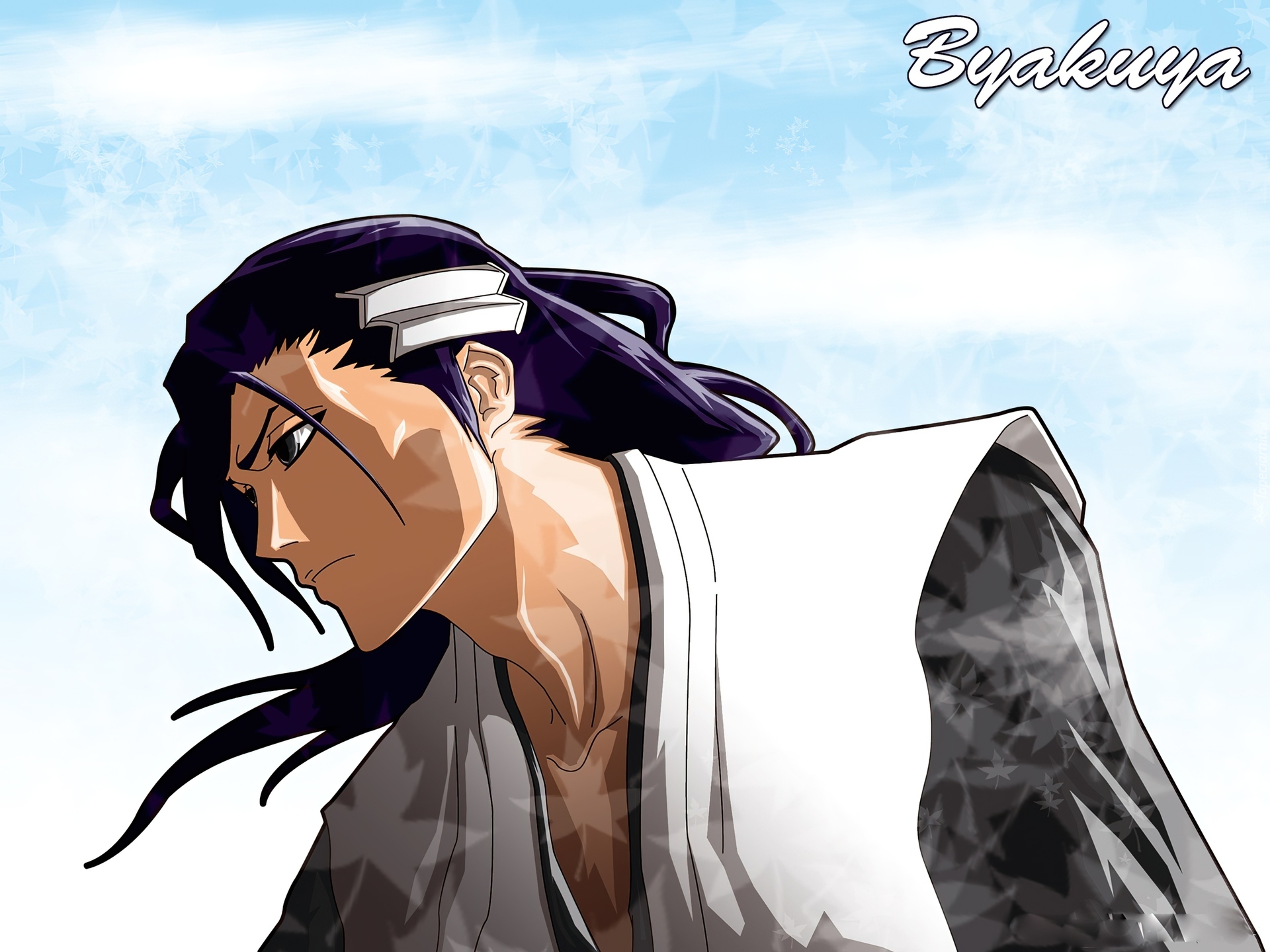 Byakuya, Kapitan, Bleach