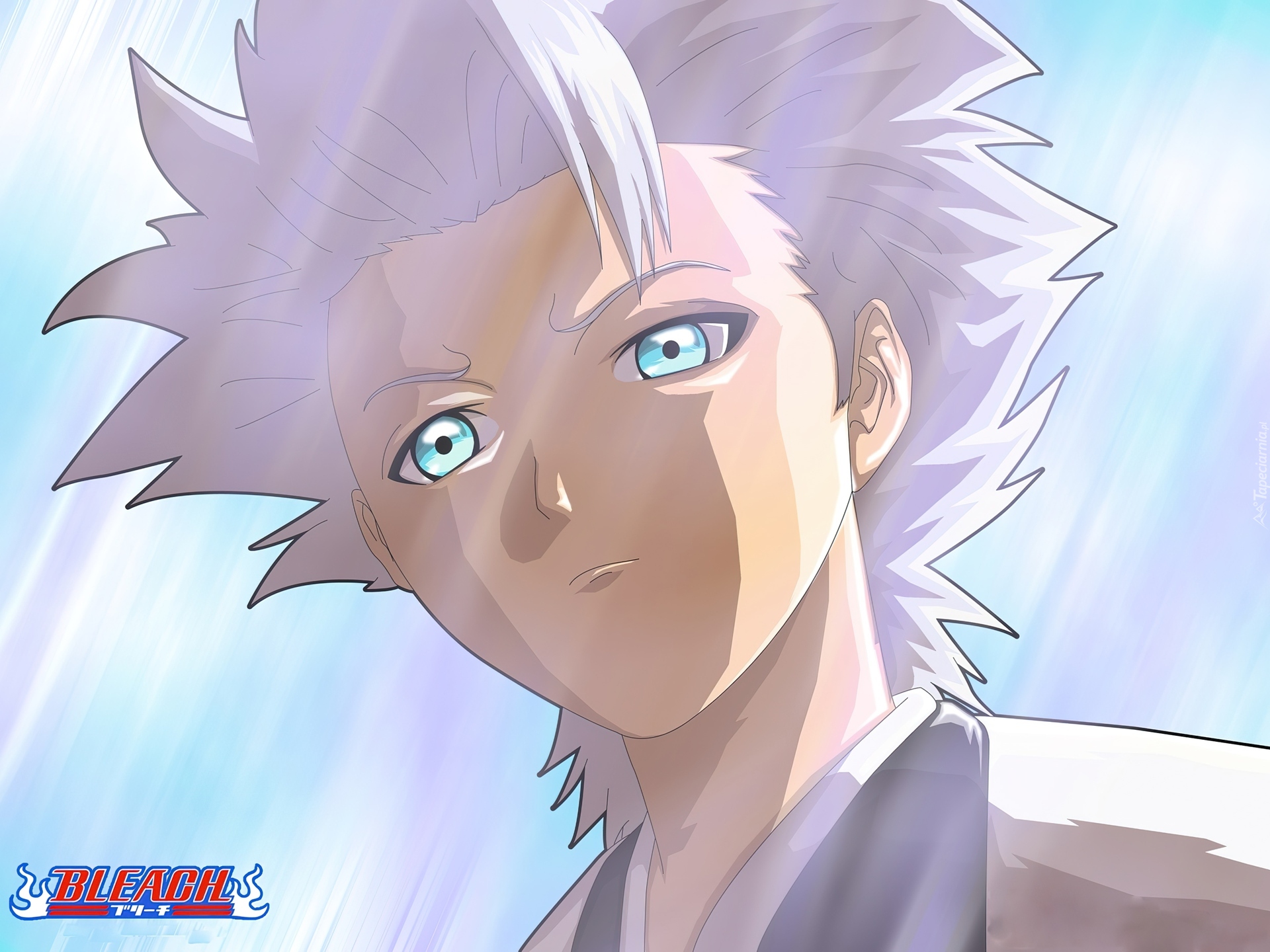 Kapitan, Toshiro Hitsugaya