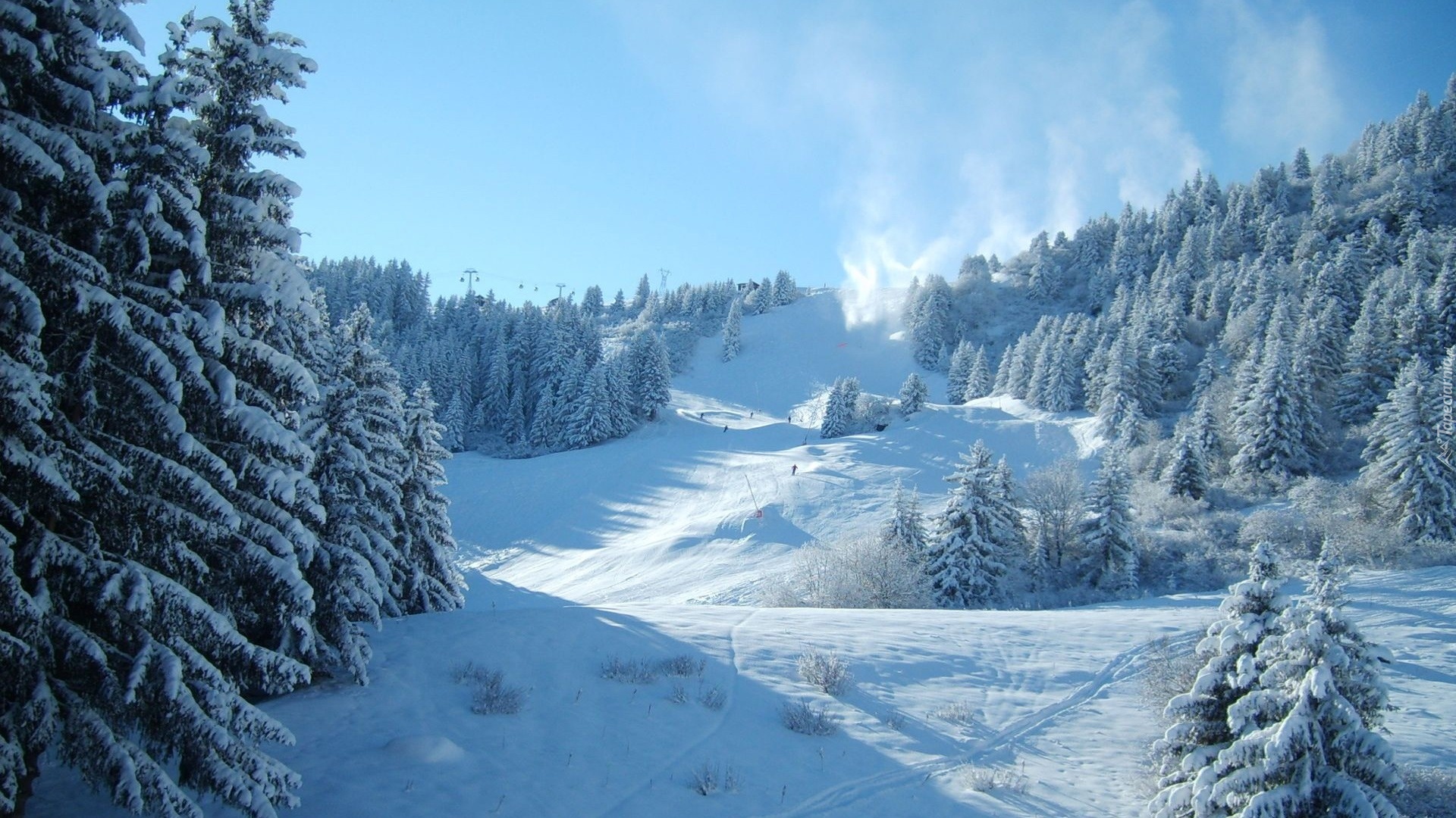 Śnieg, Drzewa, Stok