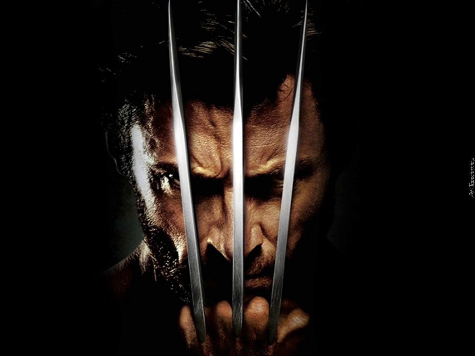X-Man, Wolverine