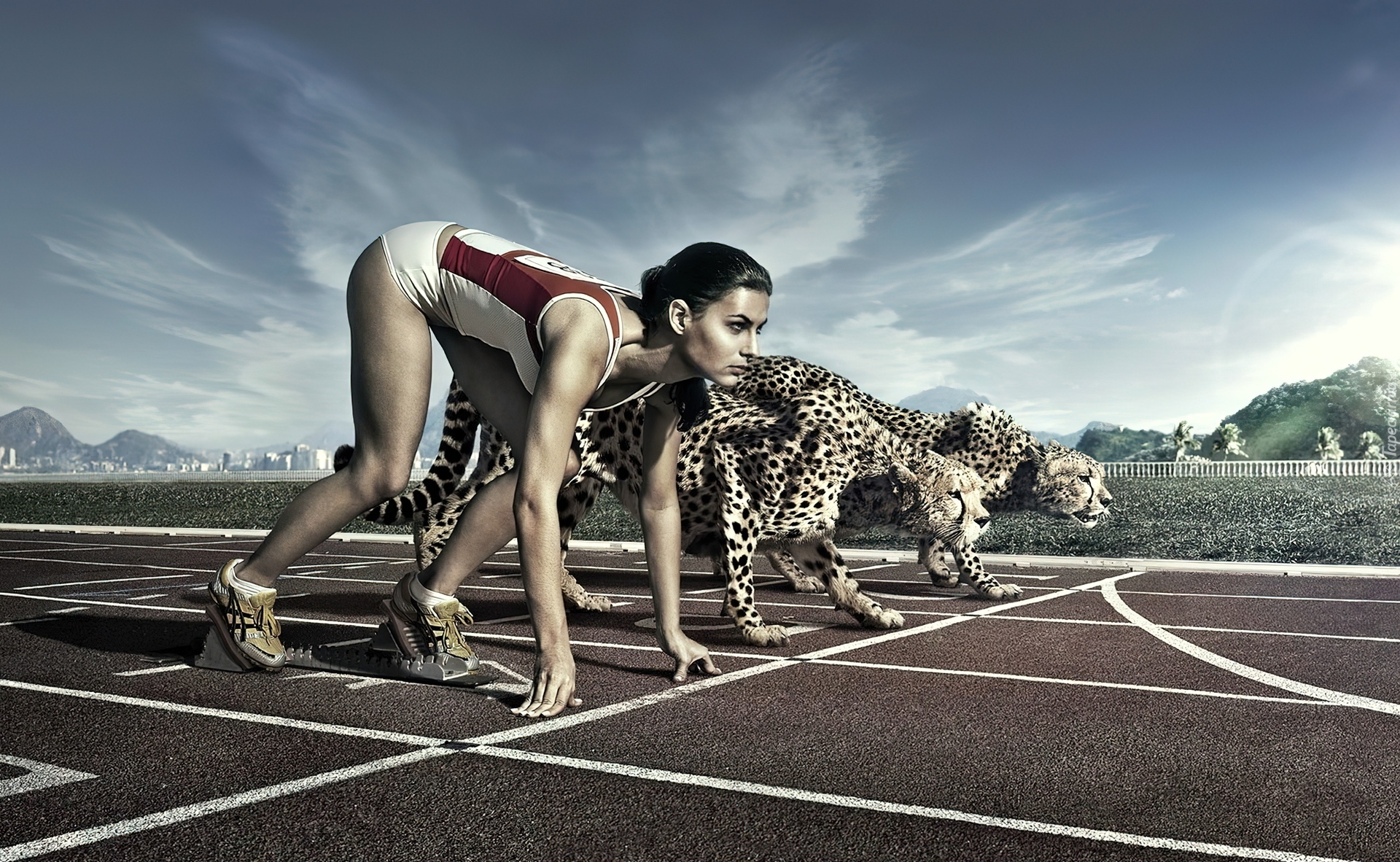 Sport, Zawody, Kobieta, Bieżnia, Gepard