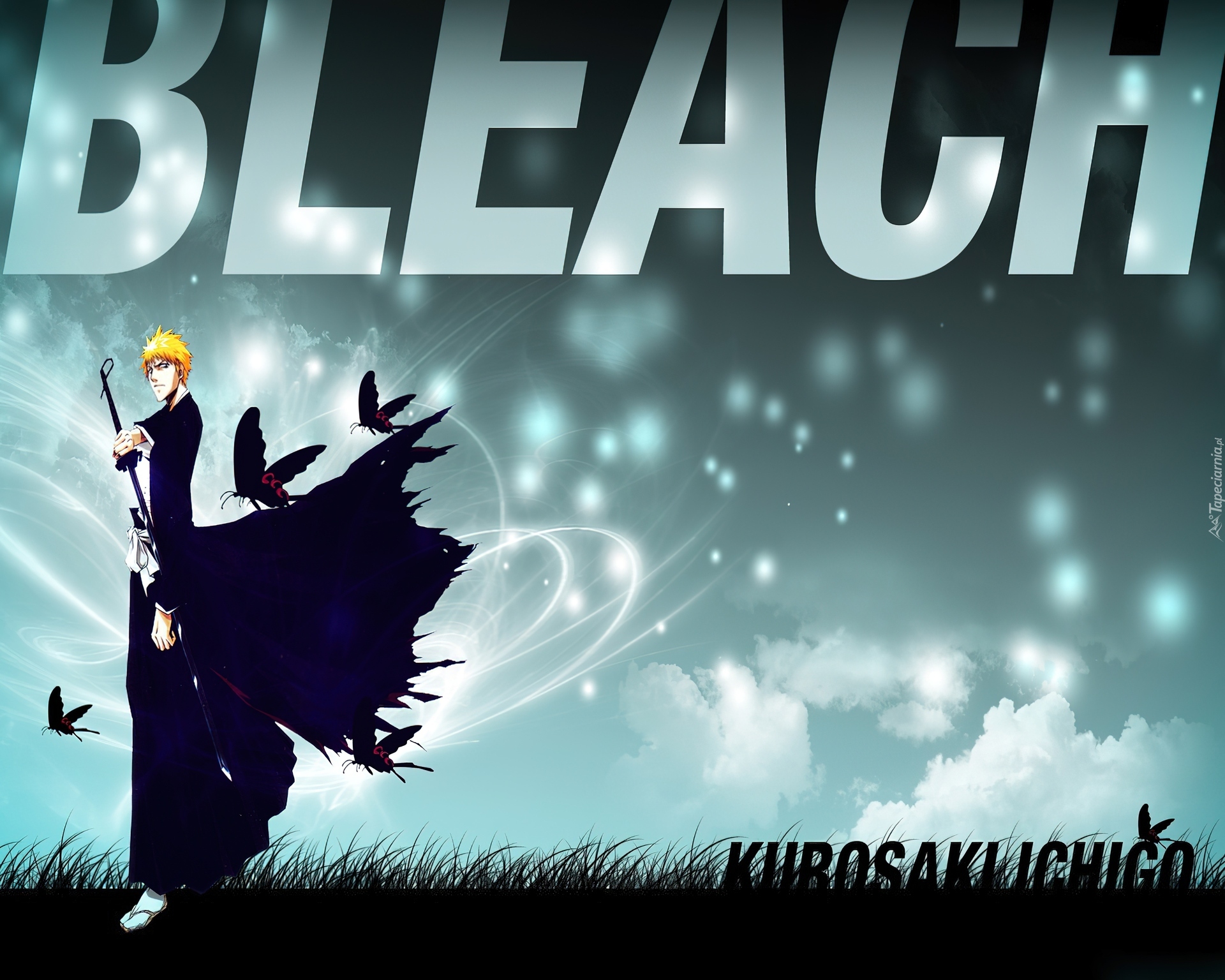 Kurosaki Ichigo