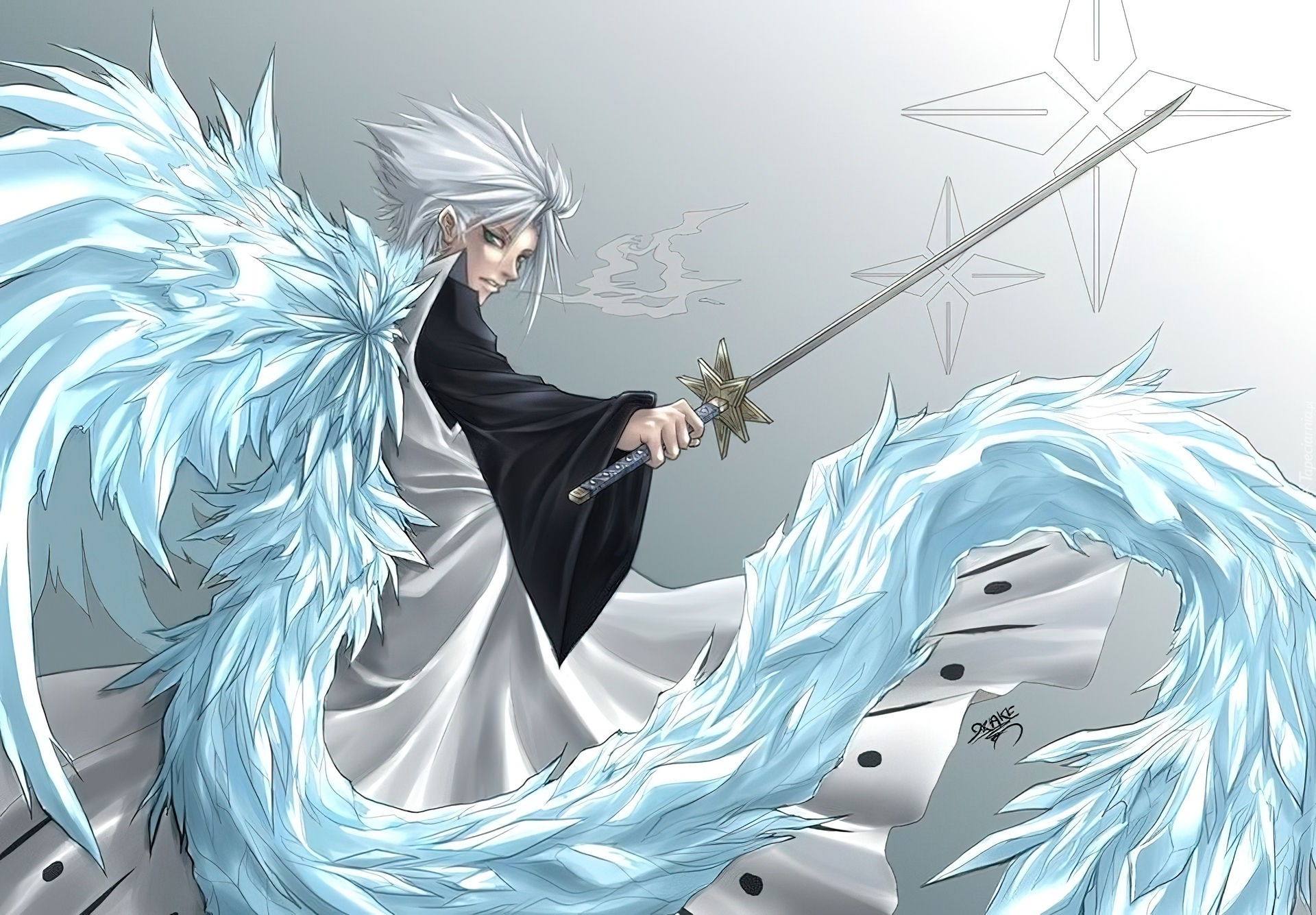 Kapitan, Hitsugaya Toshiro