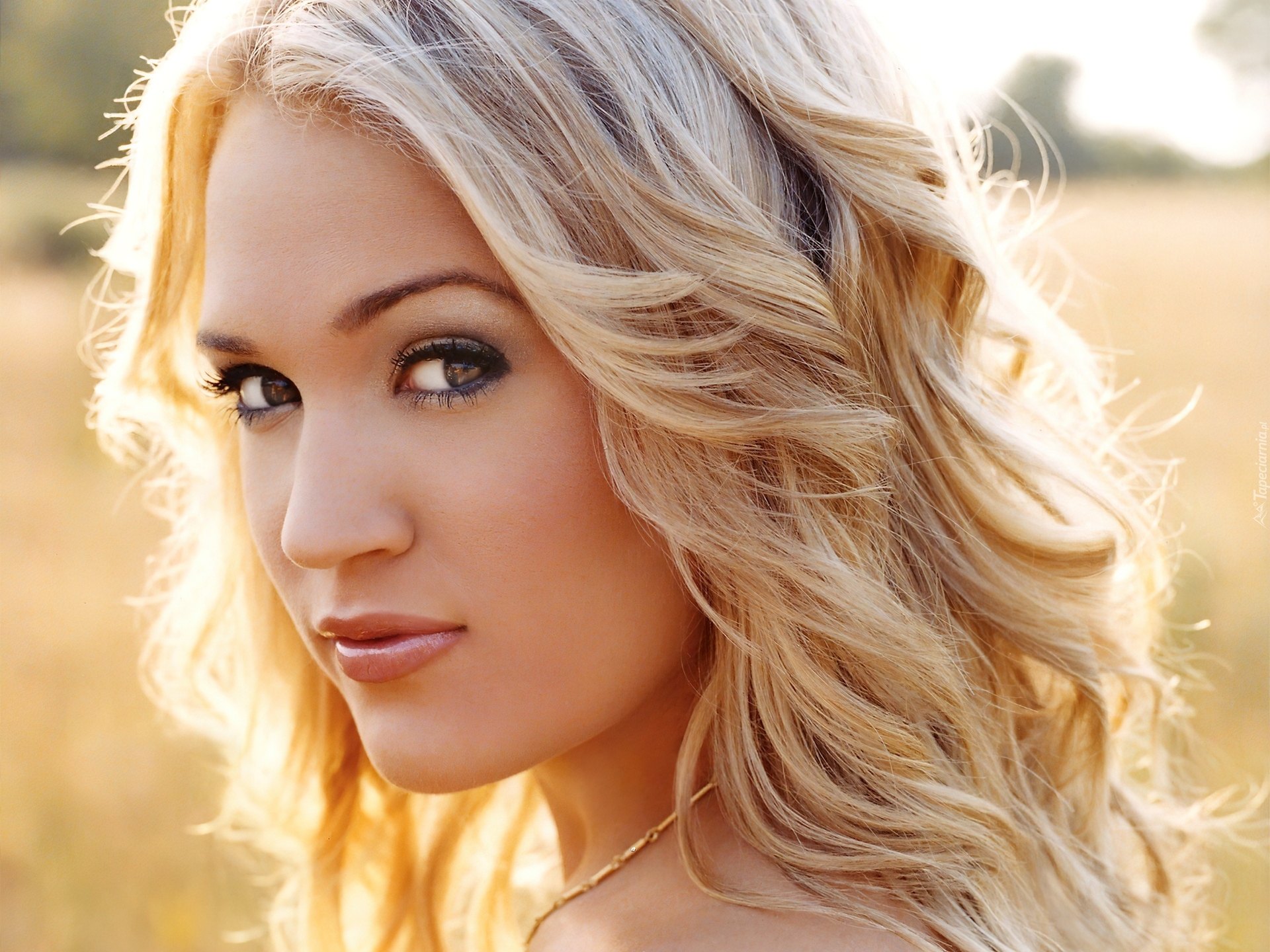 Piosenkarka, Carrie Underwood