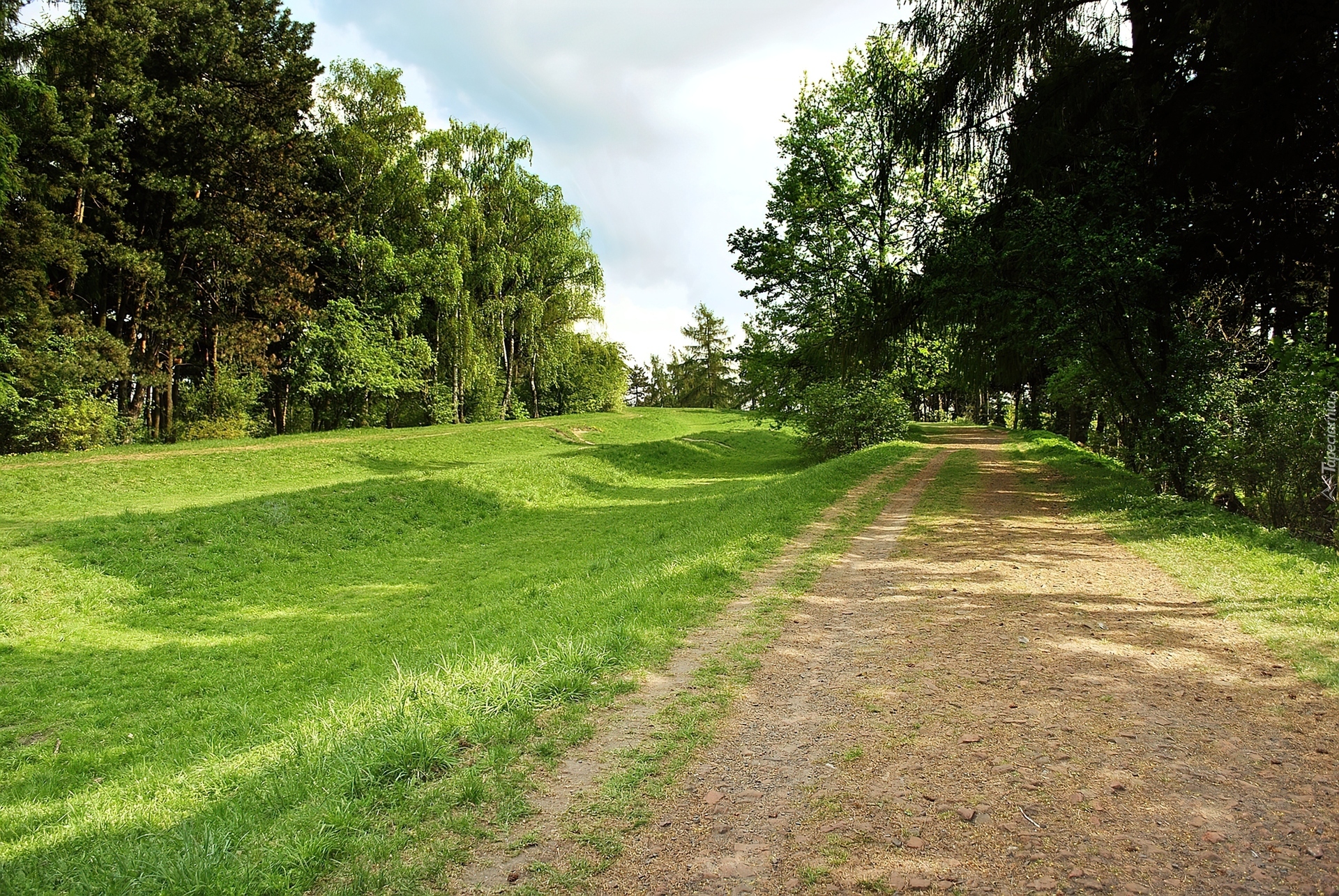 Park, Wrocław