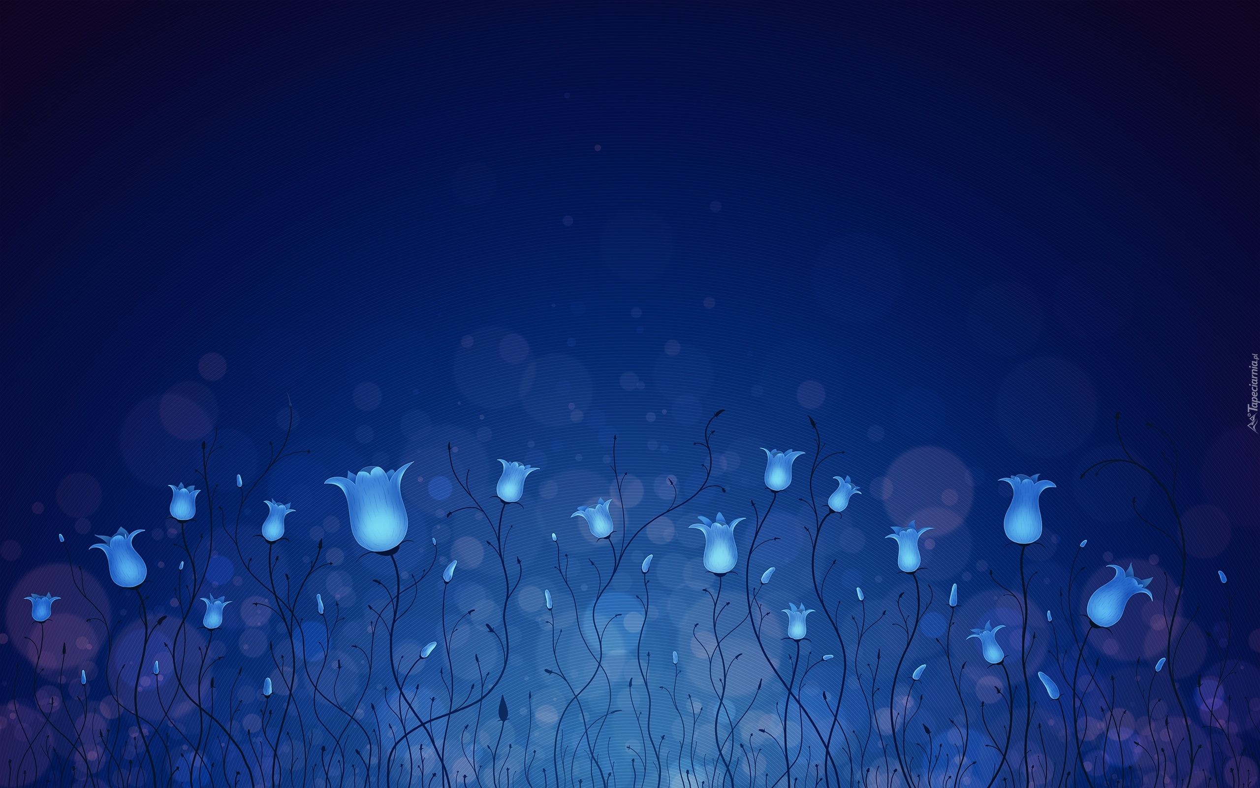 Kwiaty, Niebieskie, Dzwoneczki