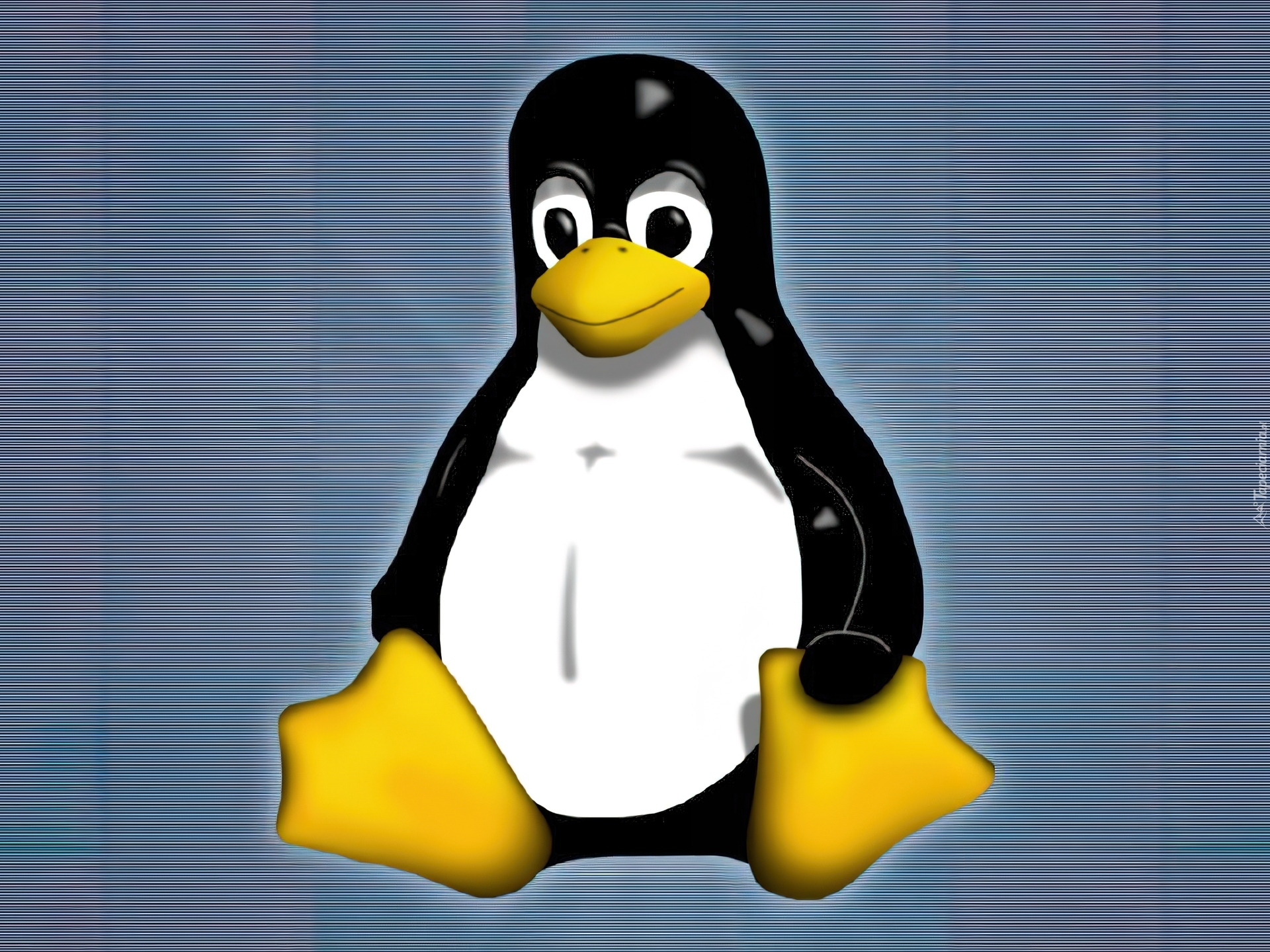 Linux compiler