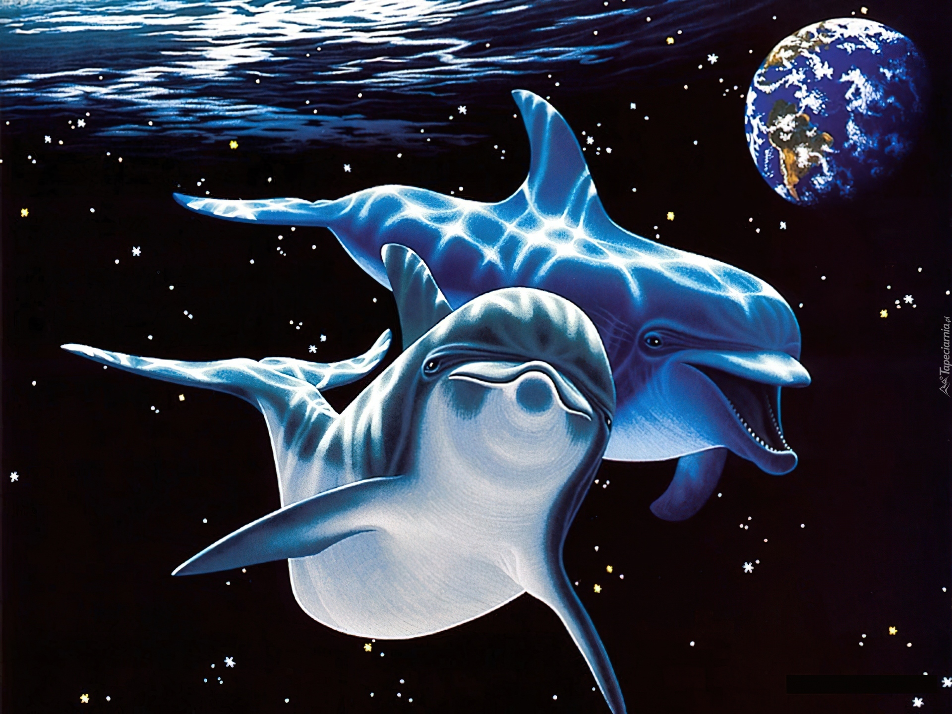 Delfiny, Gwiazdy