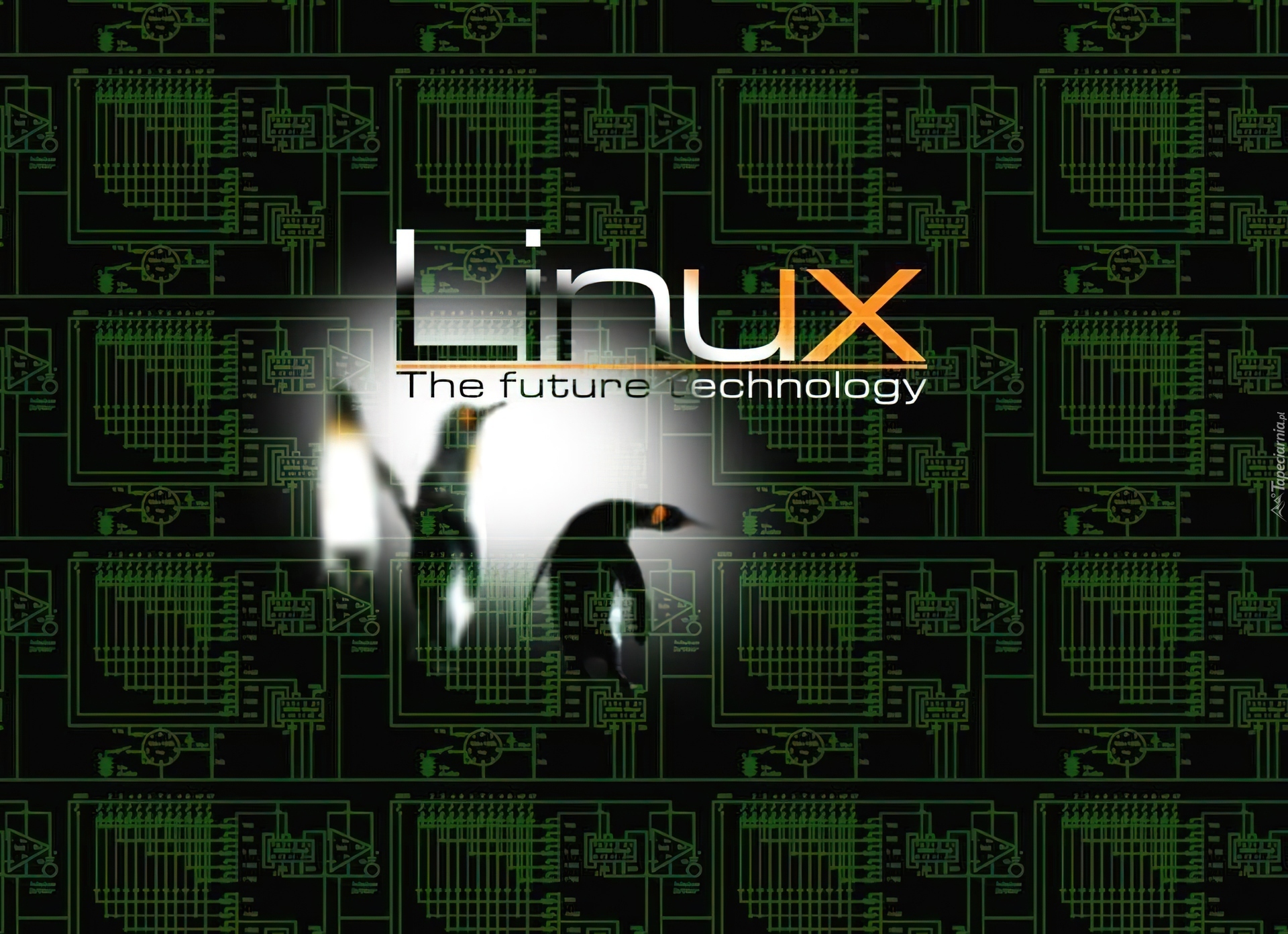 System, Linux