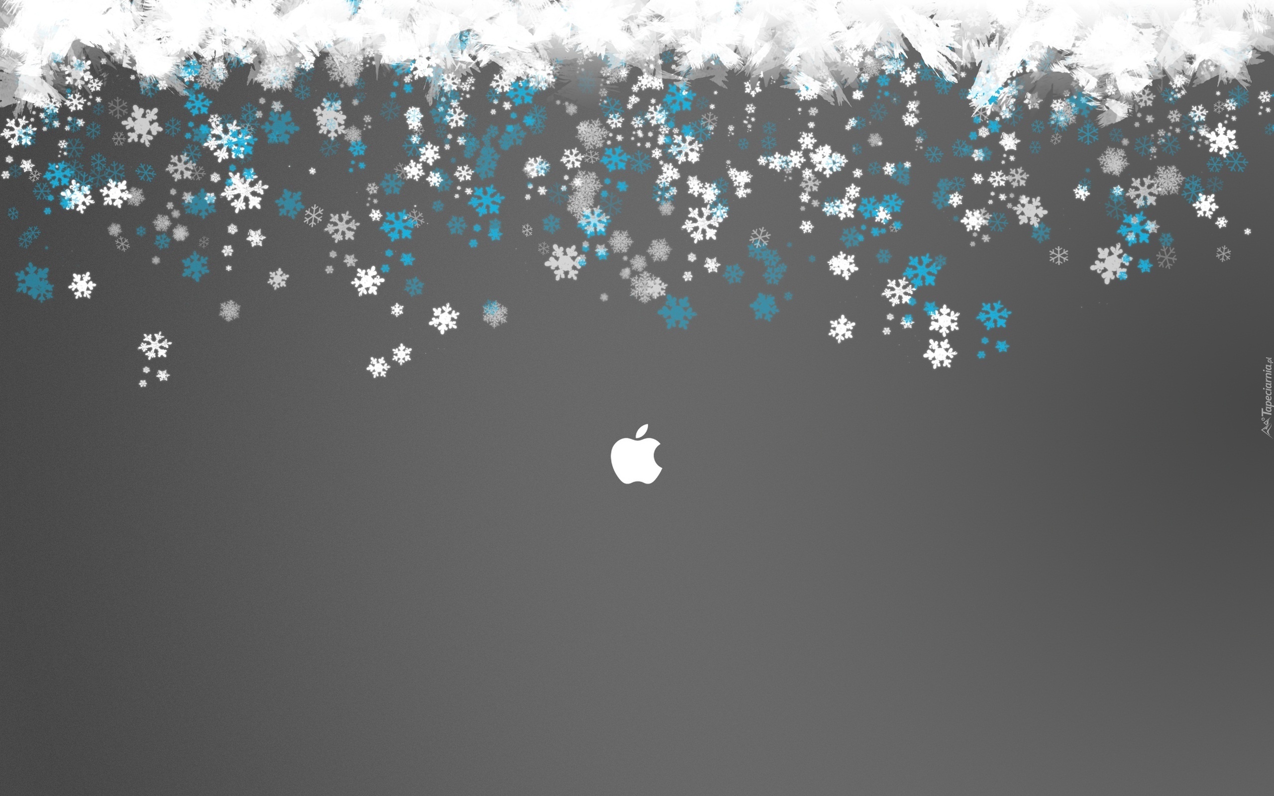 Płatki, Śniegu, Apple