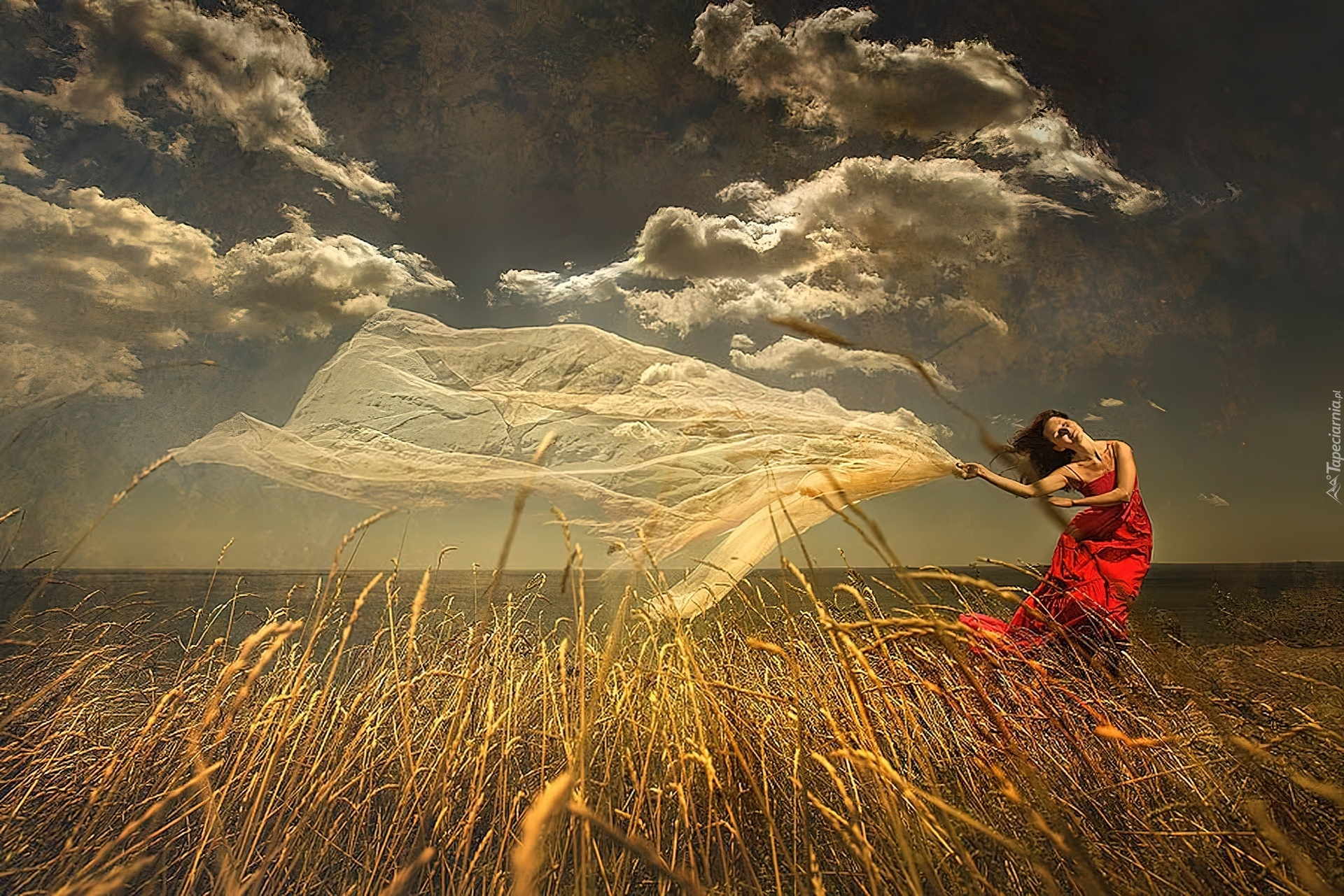 Ветром обман. Ветер в поле. Женщина на ветру. Девушка в степи. Сильный ветер в поле.