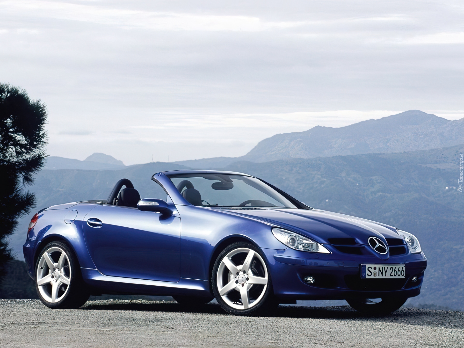 Mercedes SLK