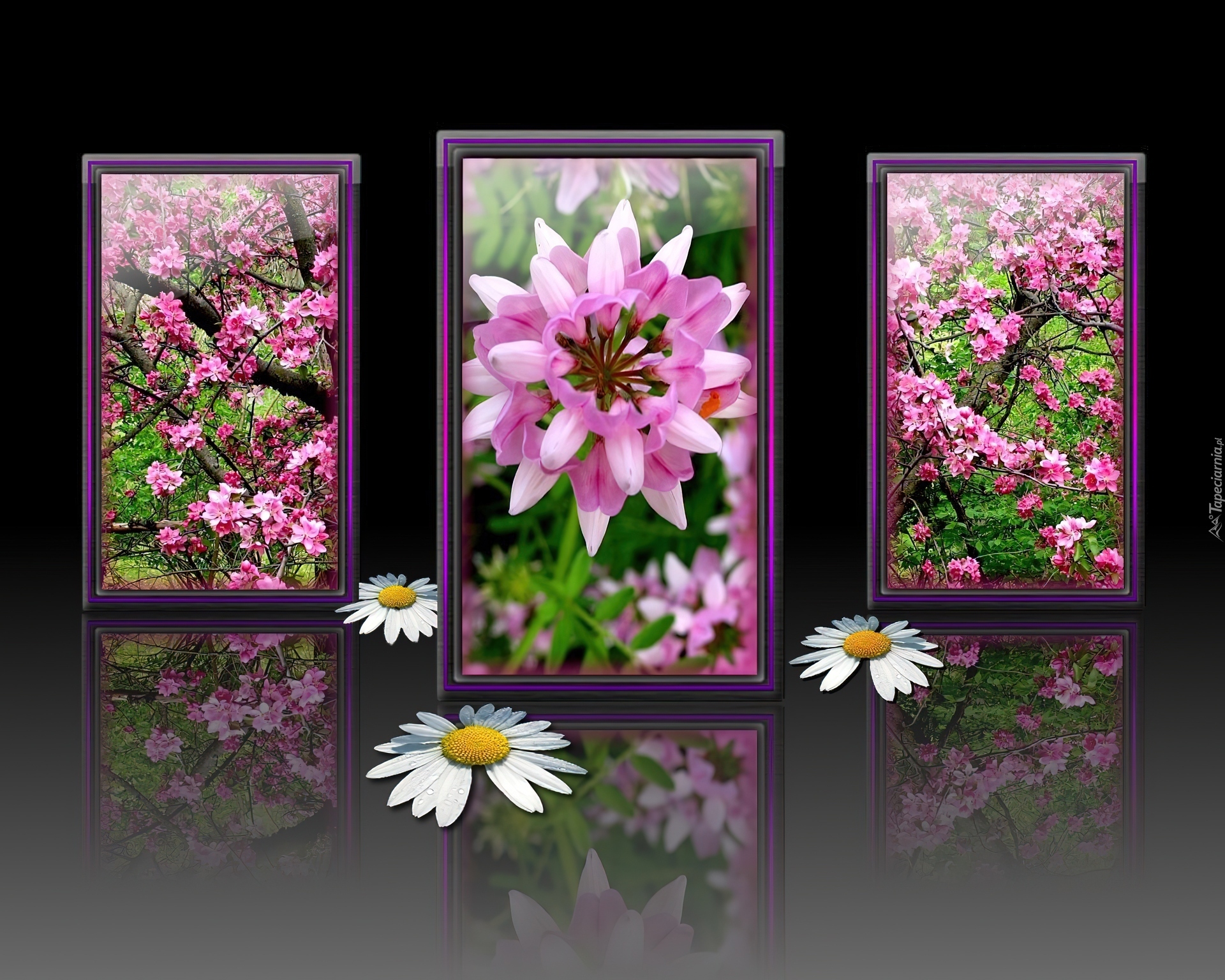 Kwiaty, Obraz, Ogród