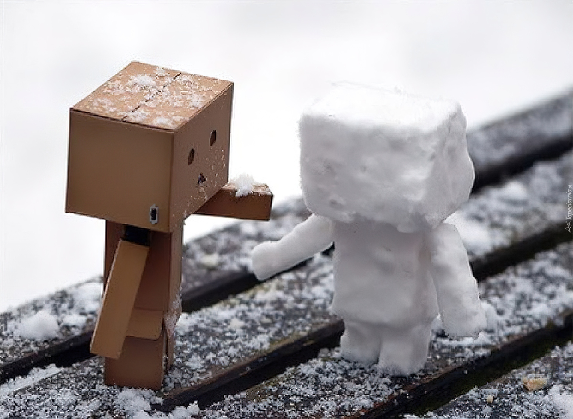 Danbo, Śnieżny, Ludek