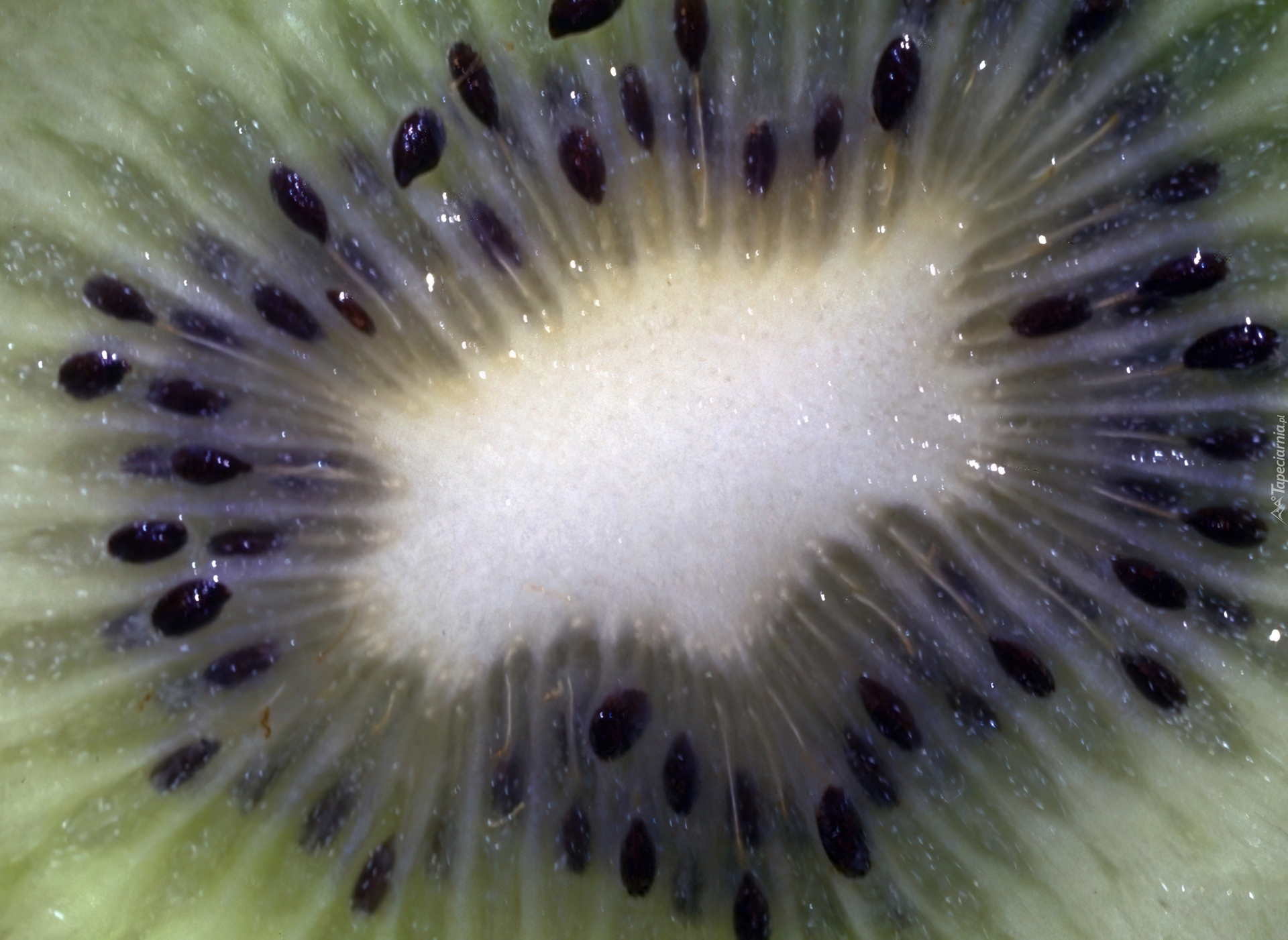 Przekrojone, Kiwi, Pestki