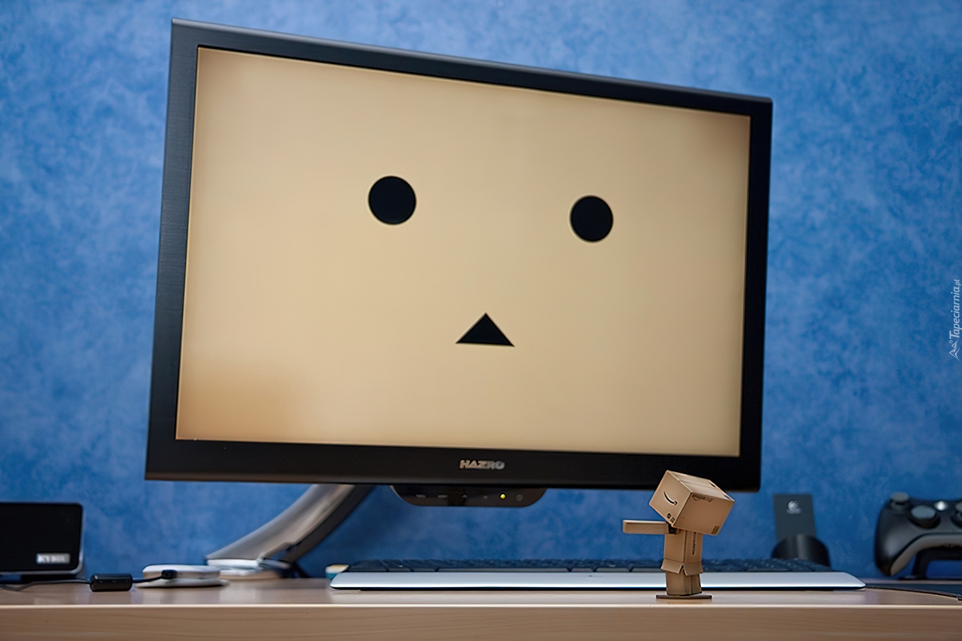 Danbo, Telewizor