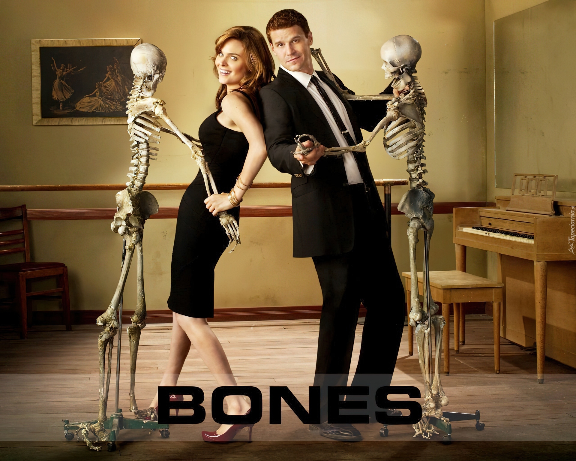 Serial, Kości, Bones, David Boreanaz, Emily Deschanel, Szkielety