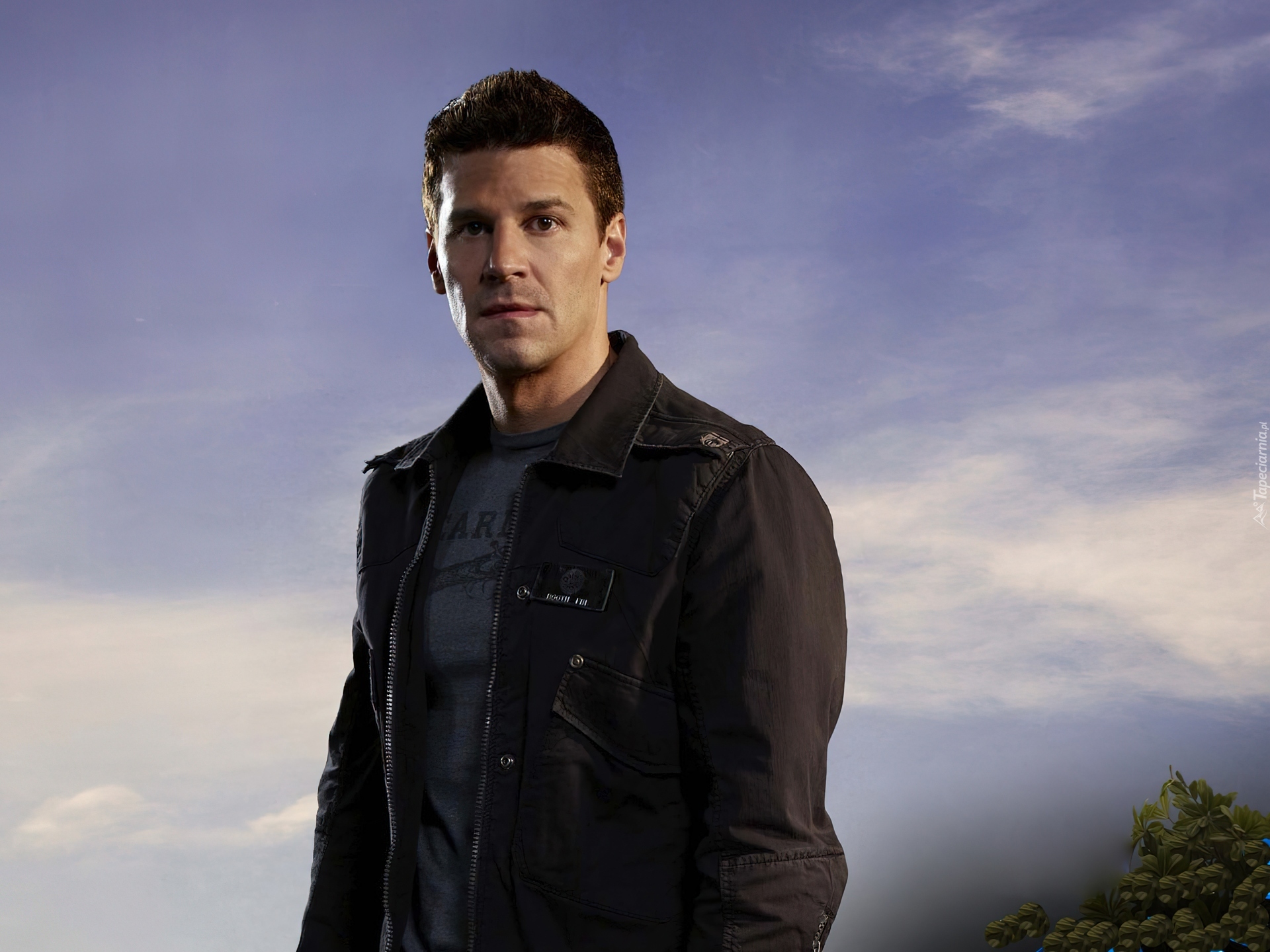 Bones david. Seeley Booth. Агент Силли бут. Кости сили бут. Дэвид Бореаназ тату.