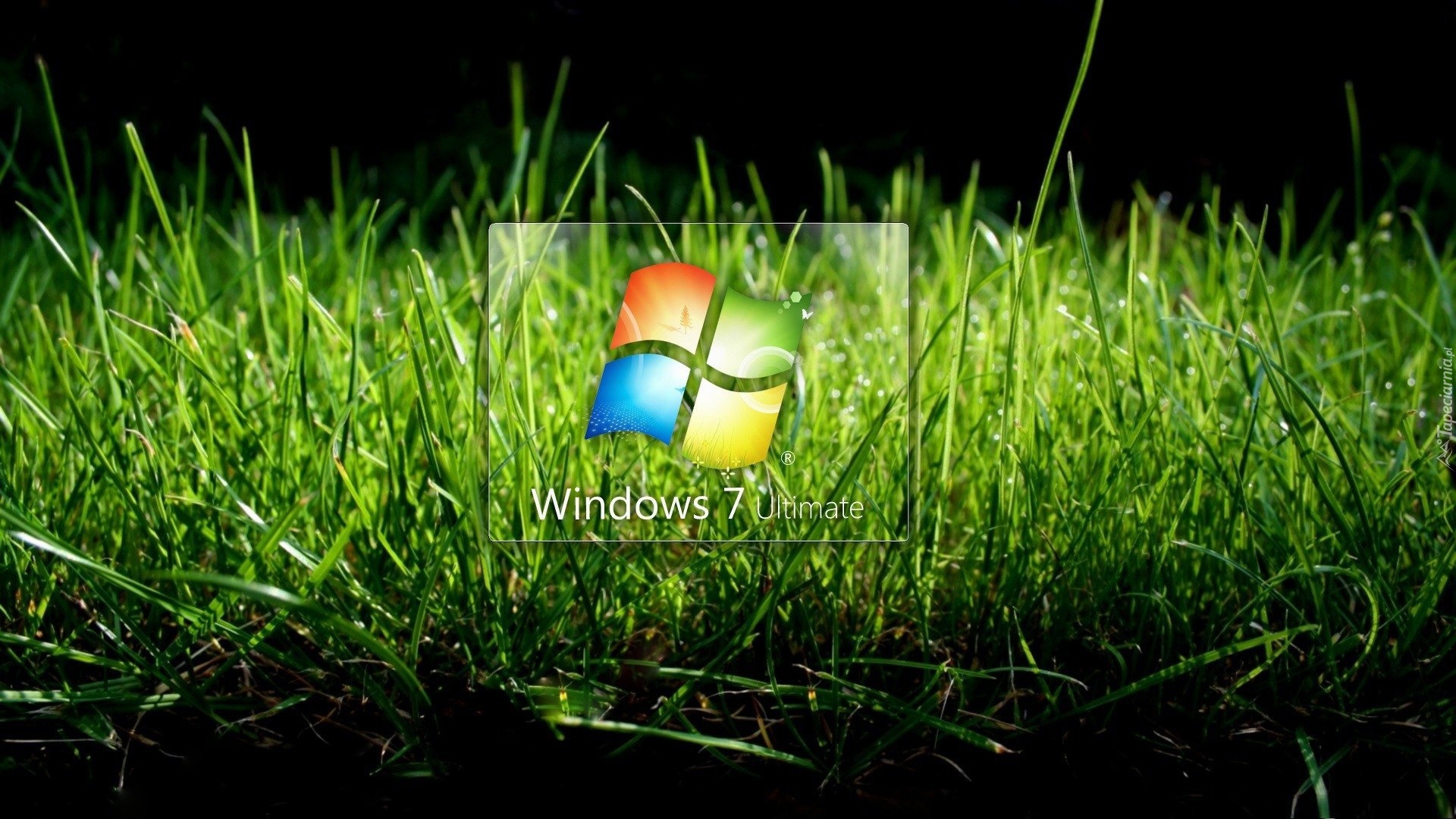 Windows 7, Trawa, Logo