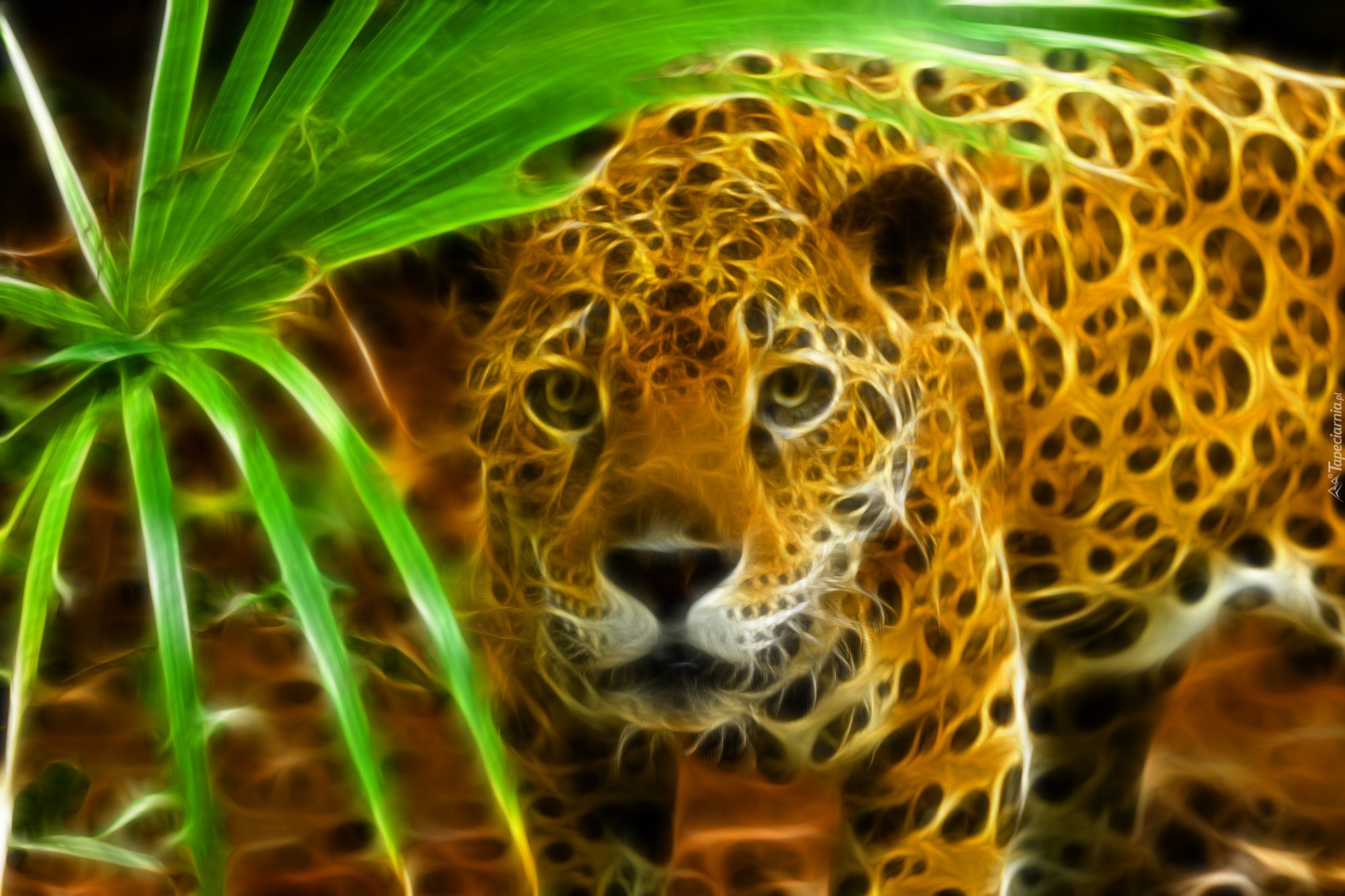 Jaguar, Fractalius