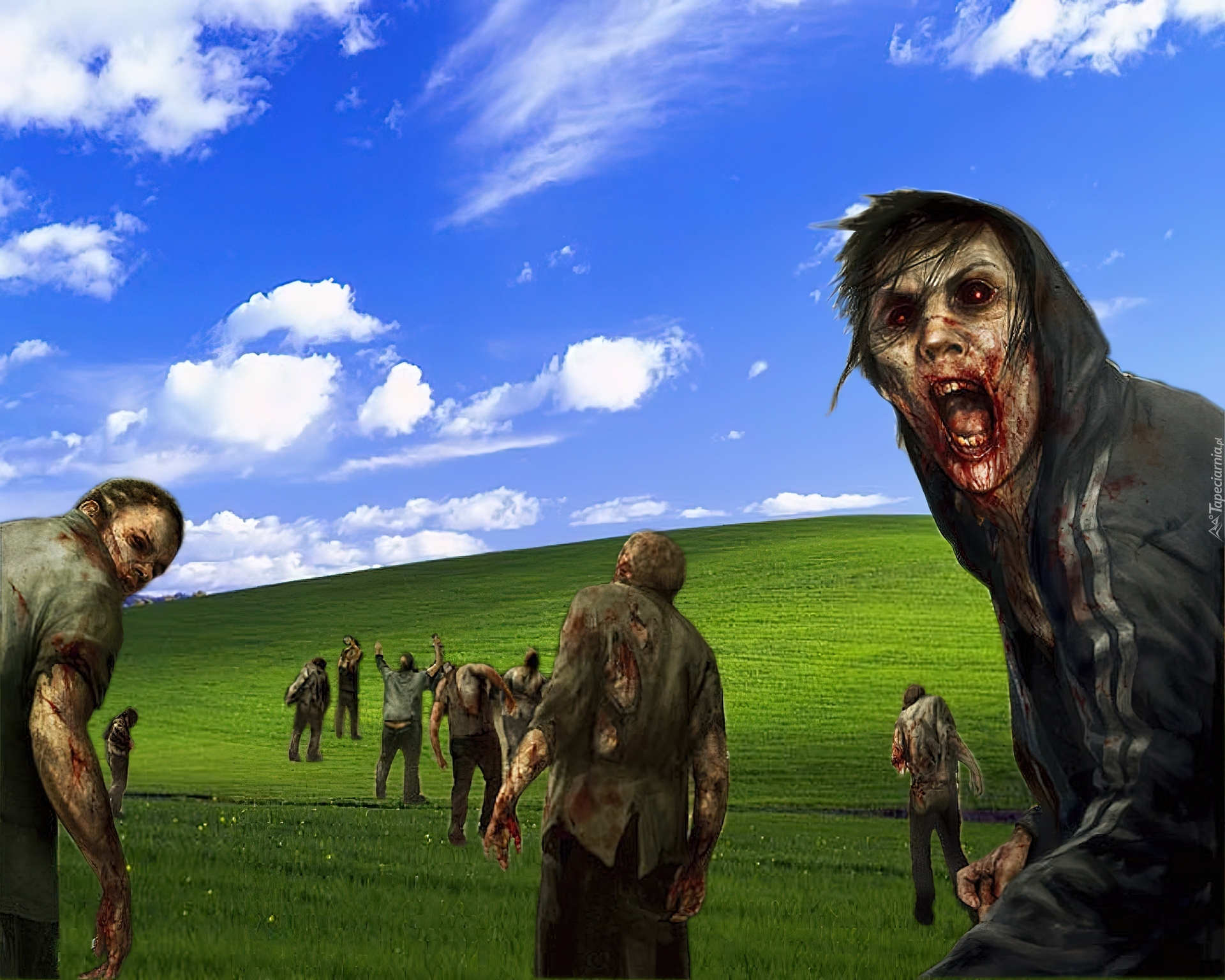 Windows, Zombie