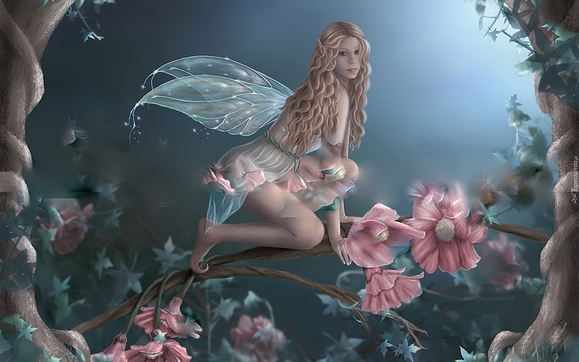 Alice white fairy