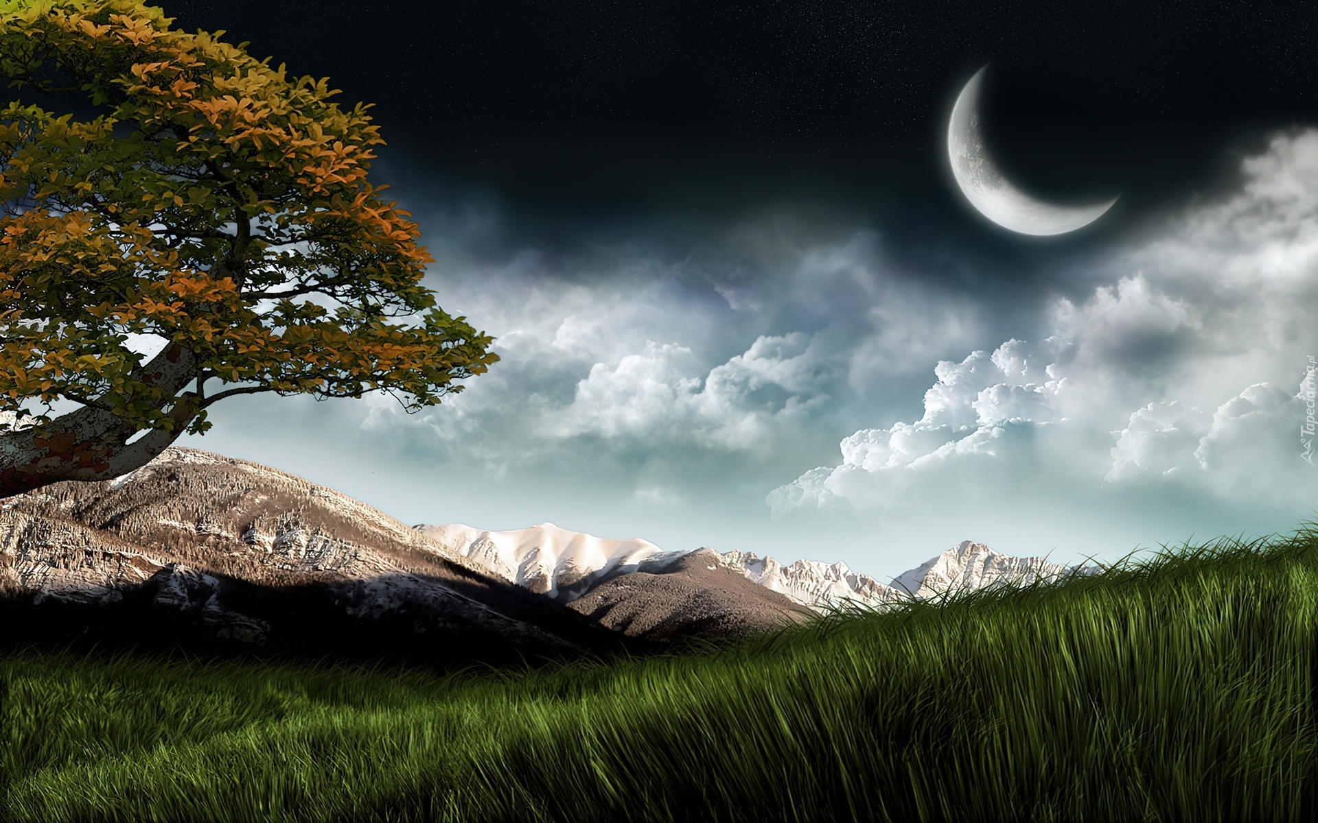 Księżyc, Drzewo, Chmury