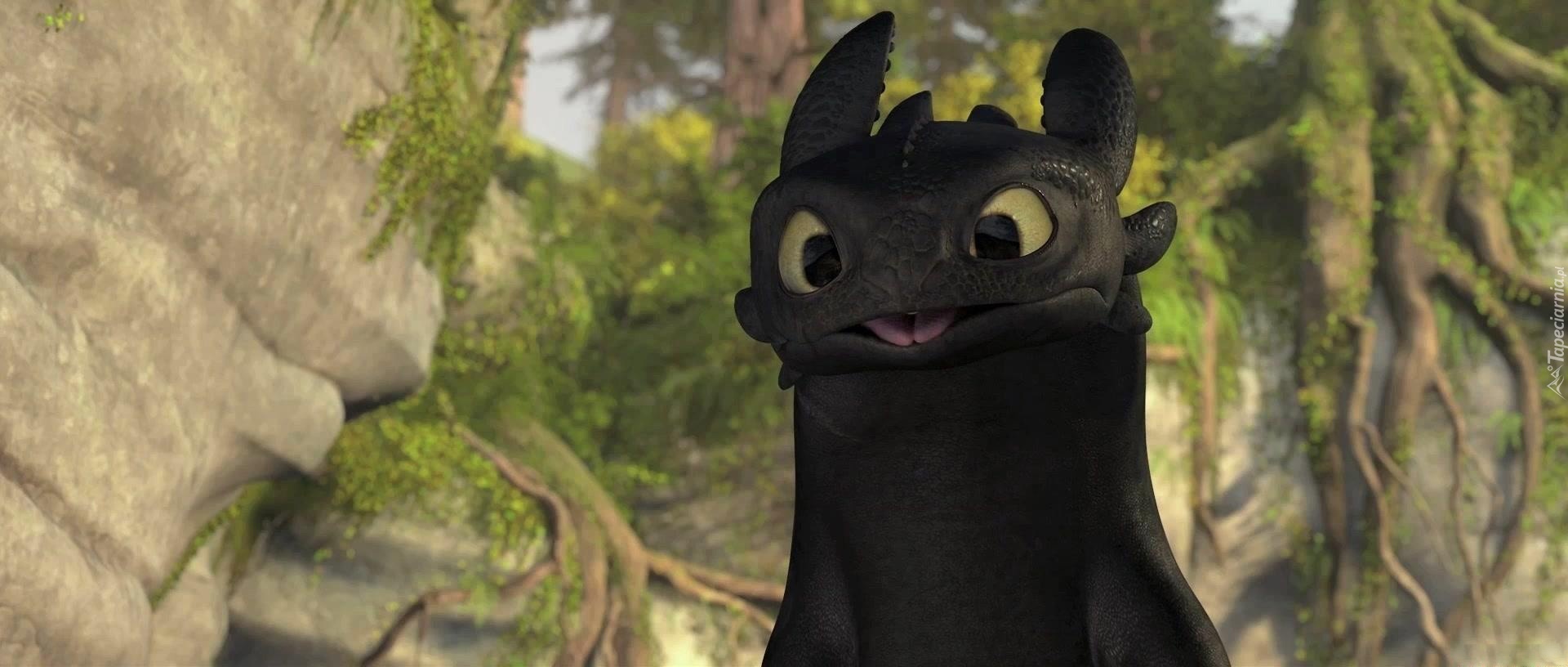 Jak wytresować smoka, How to Train Your Dragon, Smok, Nocna Furia