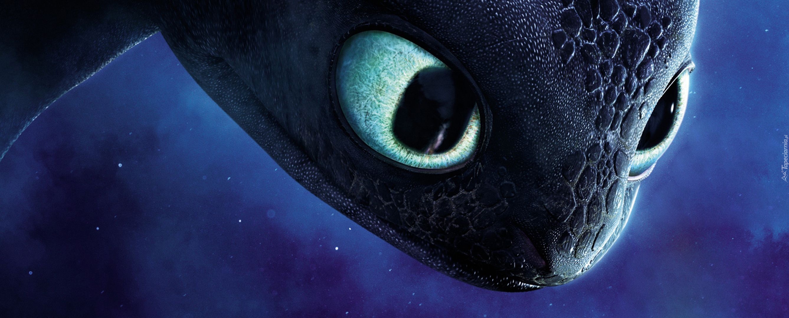 Jak wytresować smoka, How to Train Your Dragon, Smok, Nocna Furia