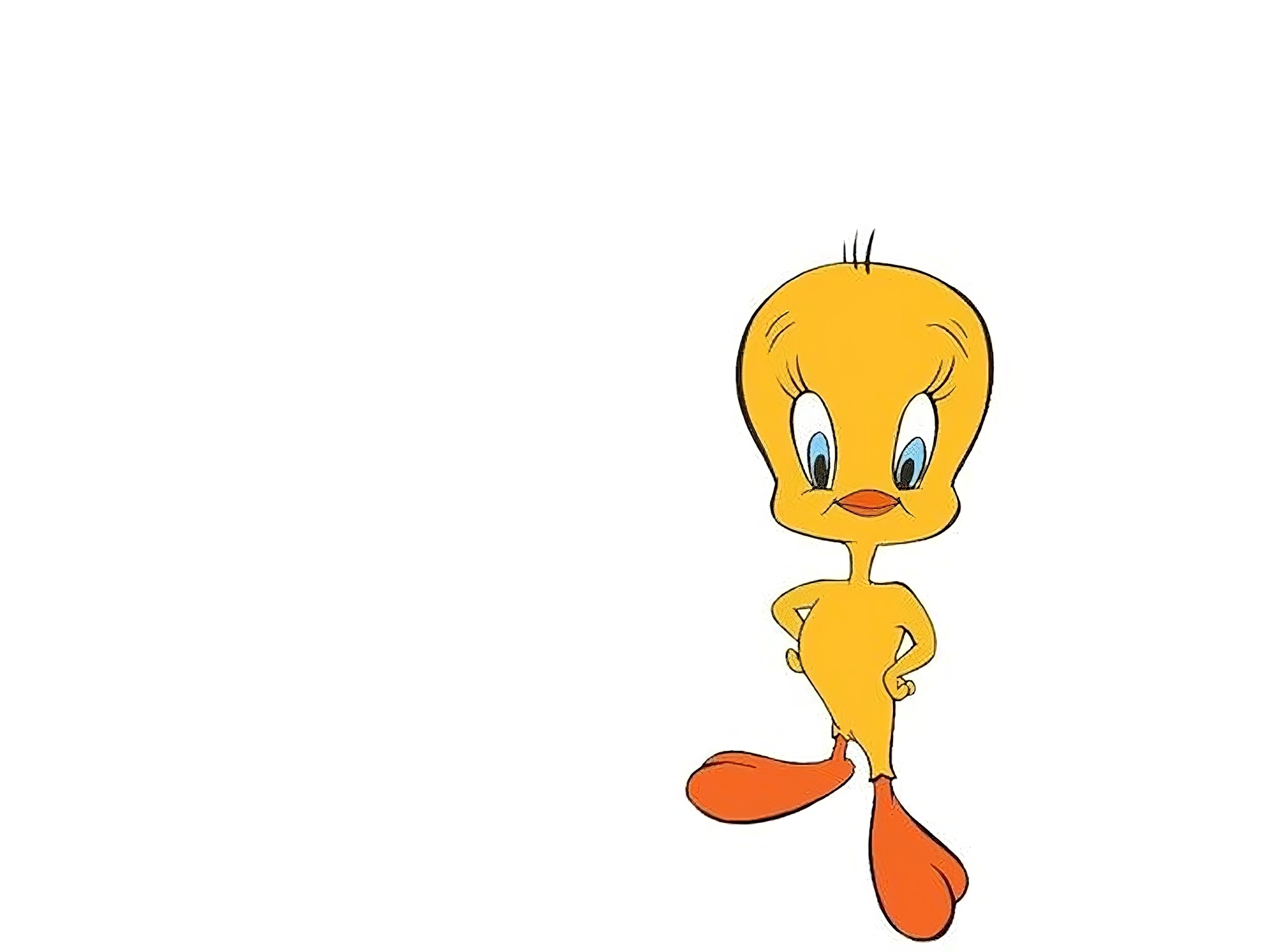 Tweety, Kurczaczek