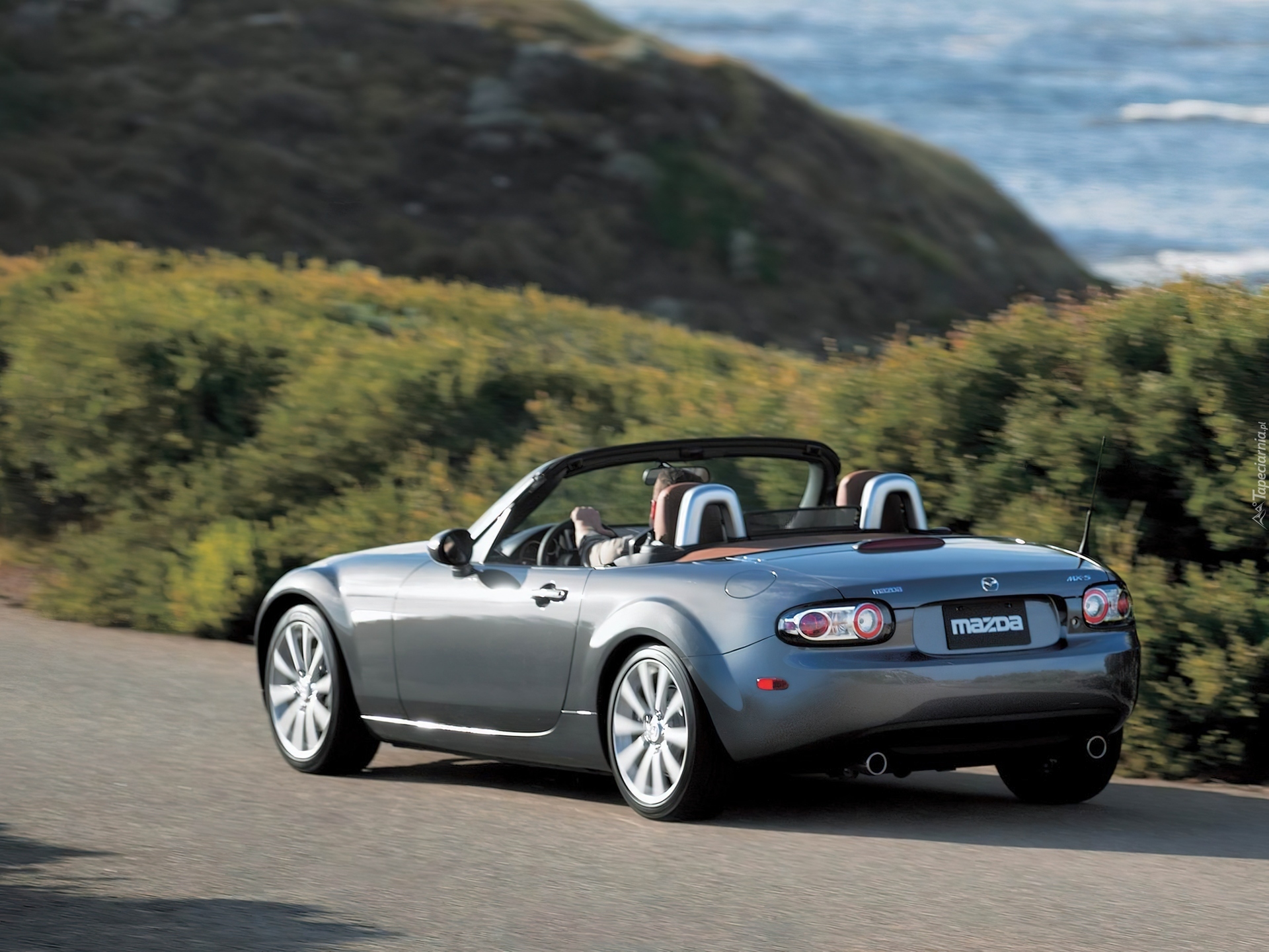 Mazda mx-5, Roadster