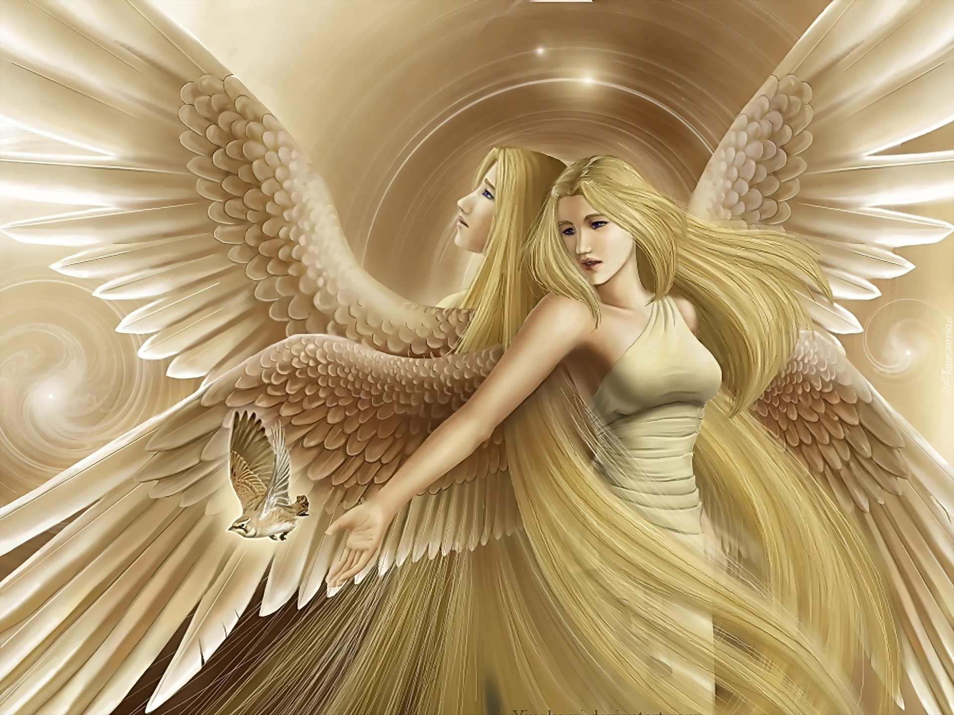 Что такое крылатое диво. Ангелов ангел Ангелович. Амбриэль ангел хранитель. Женщина ангел. Красивый ангел.
