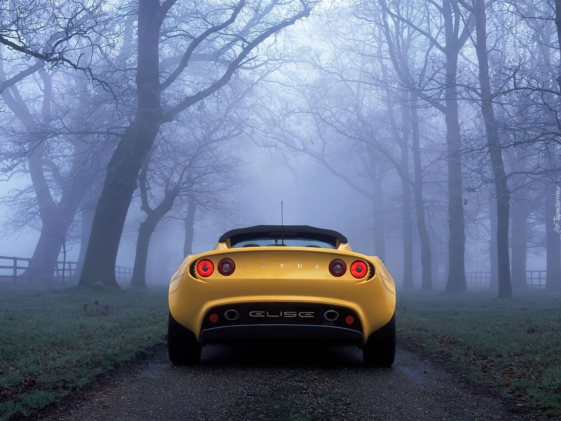 Lotus Elise, Tył