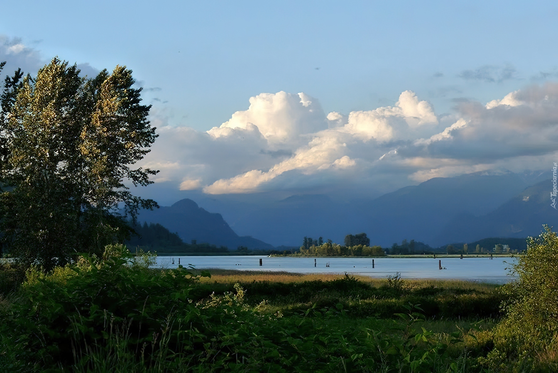 Rzeka, Pitt River