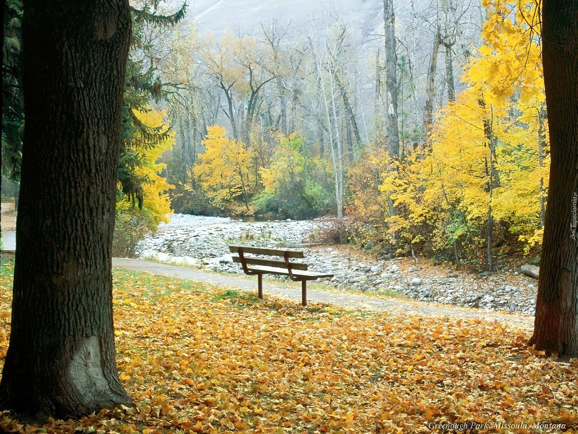 Jesień, Park