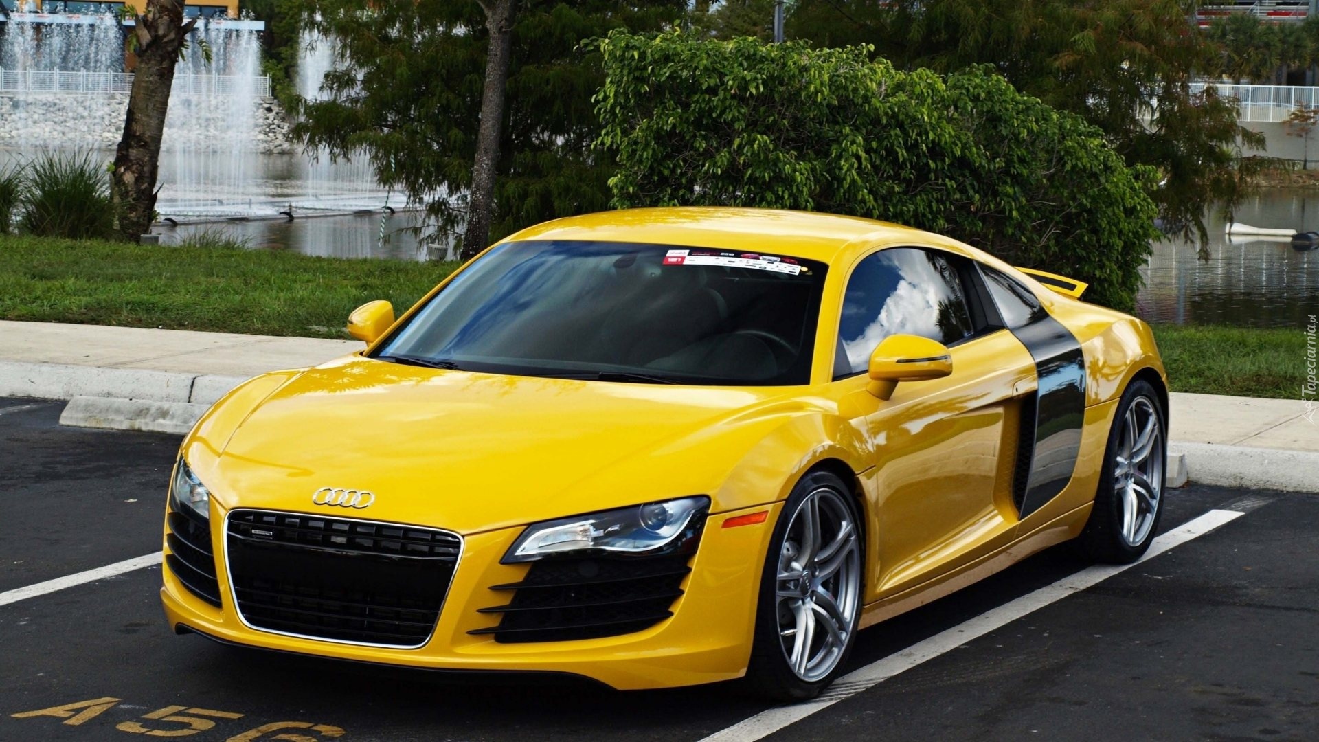 Audi R8, Fontanna