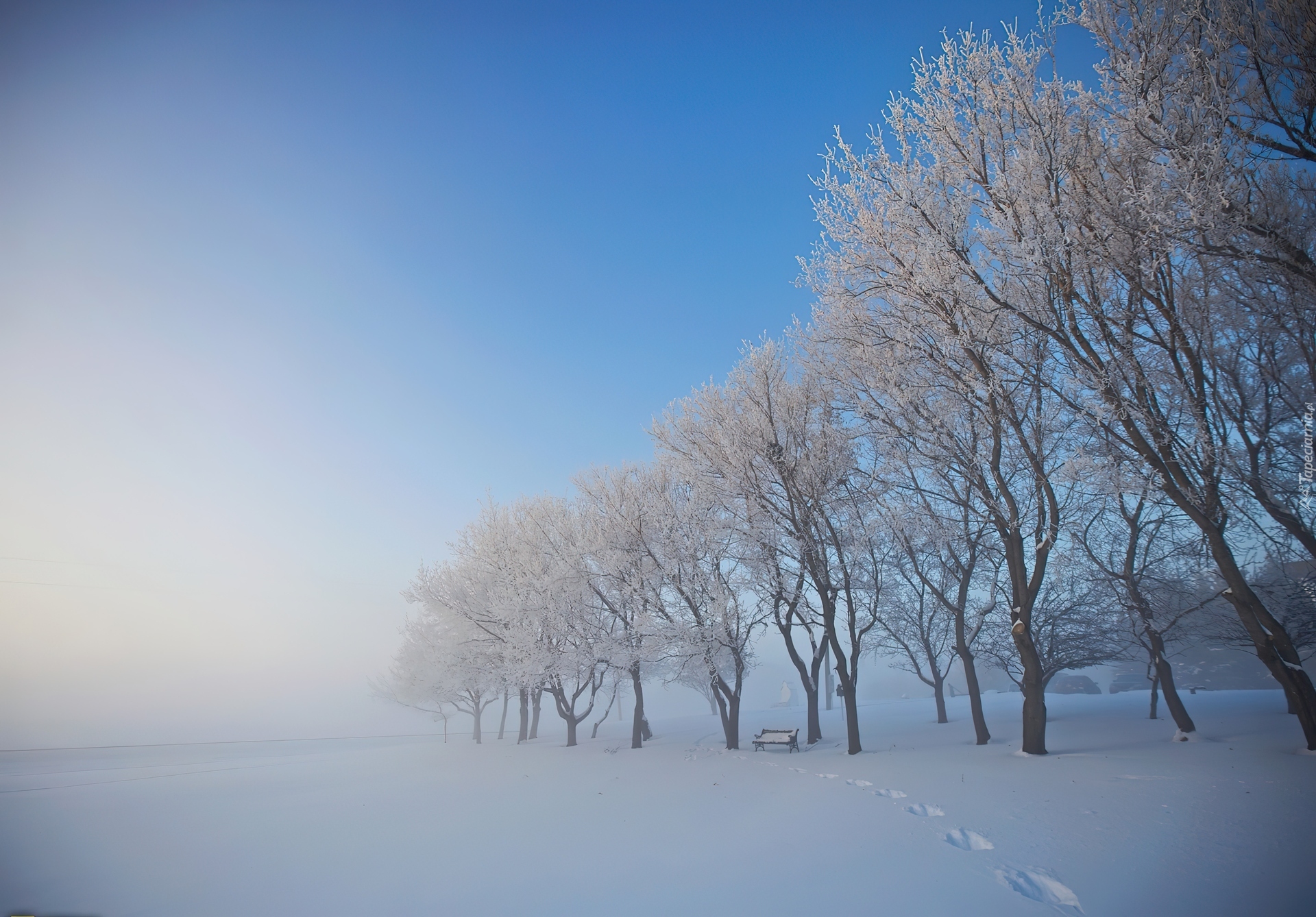 Zima, Drzewa, Ławka
