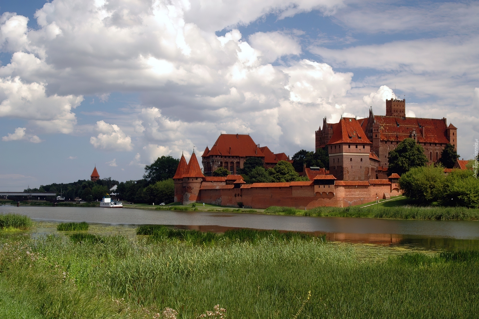 Zamek, Malbork