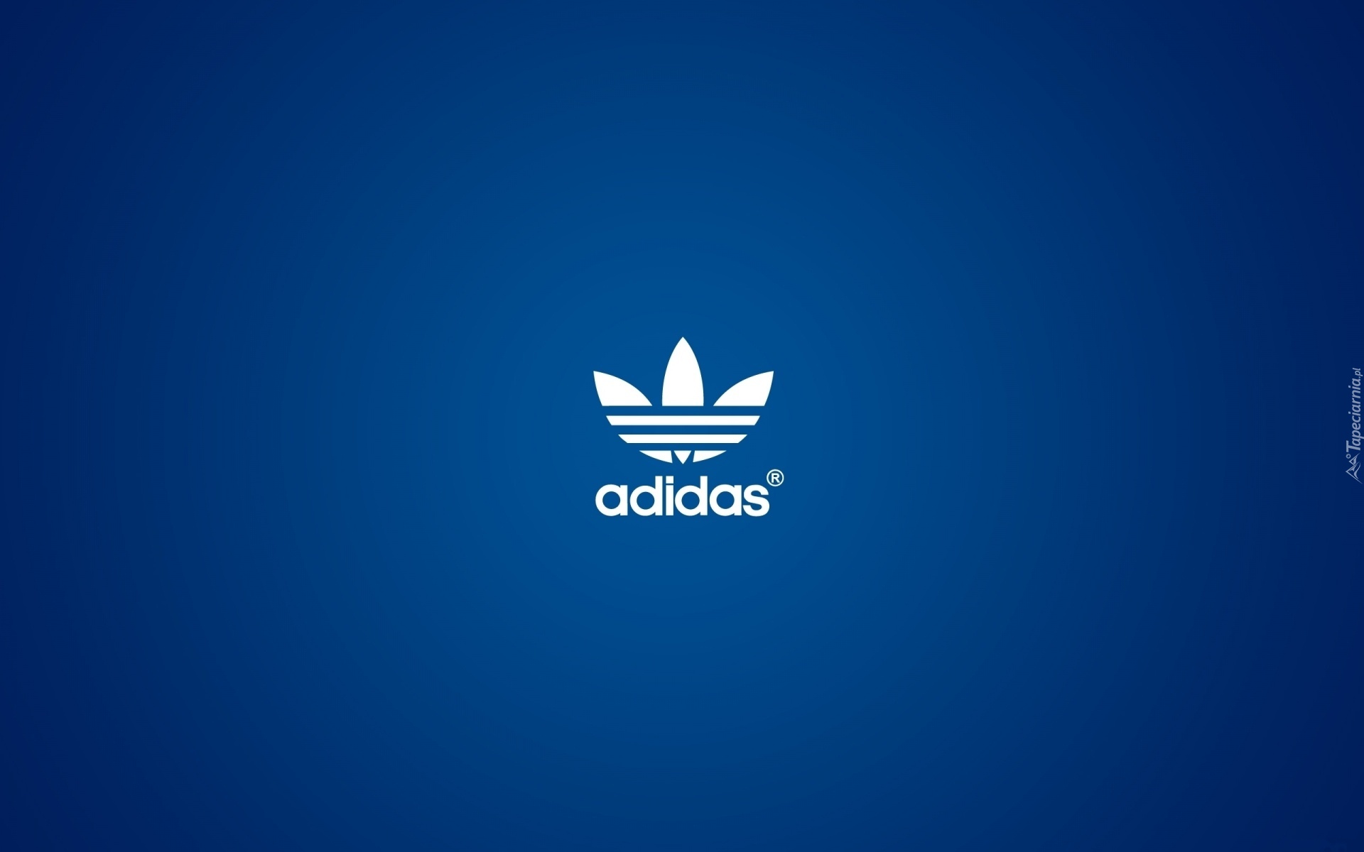 Logo, Adidas, Niebieskie, Tło