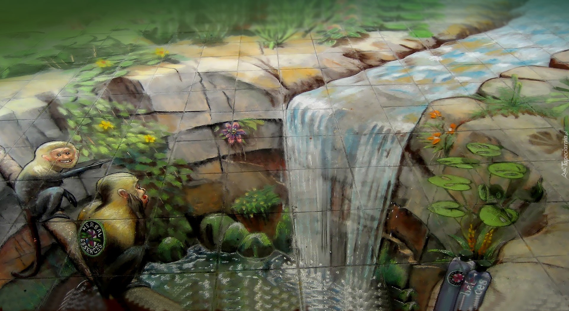 Julian, Beever, Wodospad