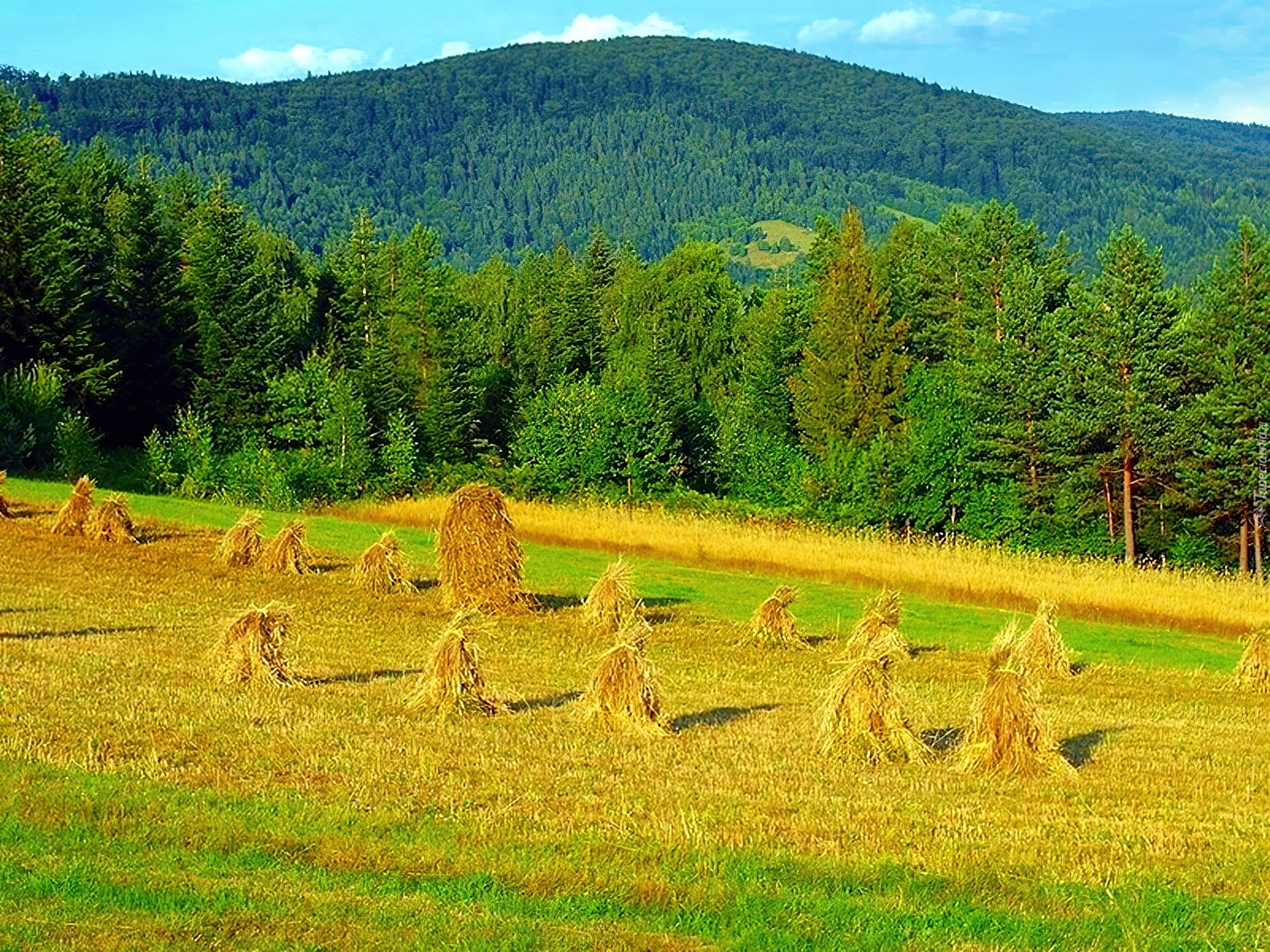 Kopki, Sianno, Łysa, Góra
