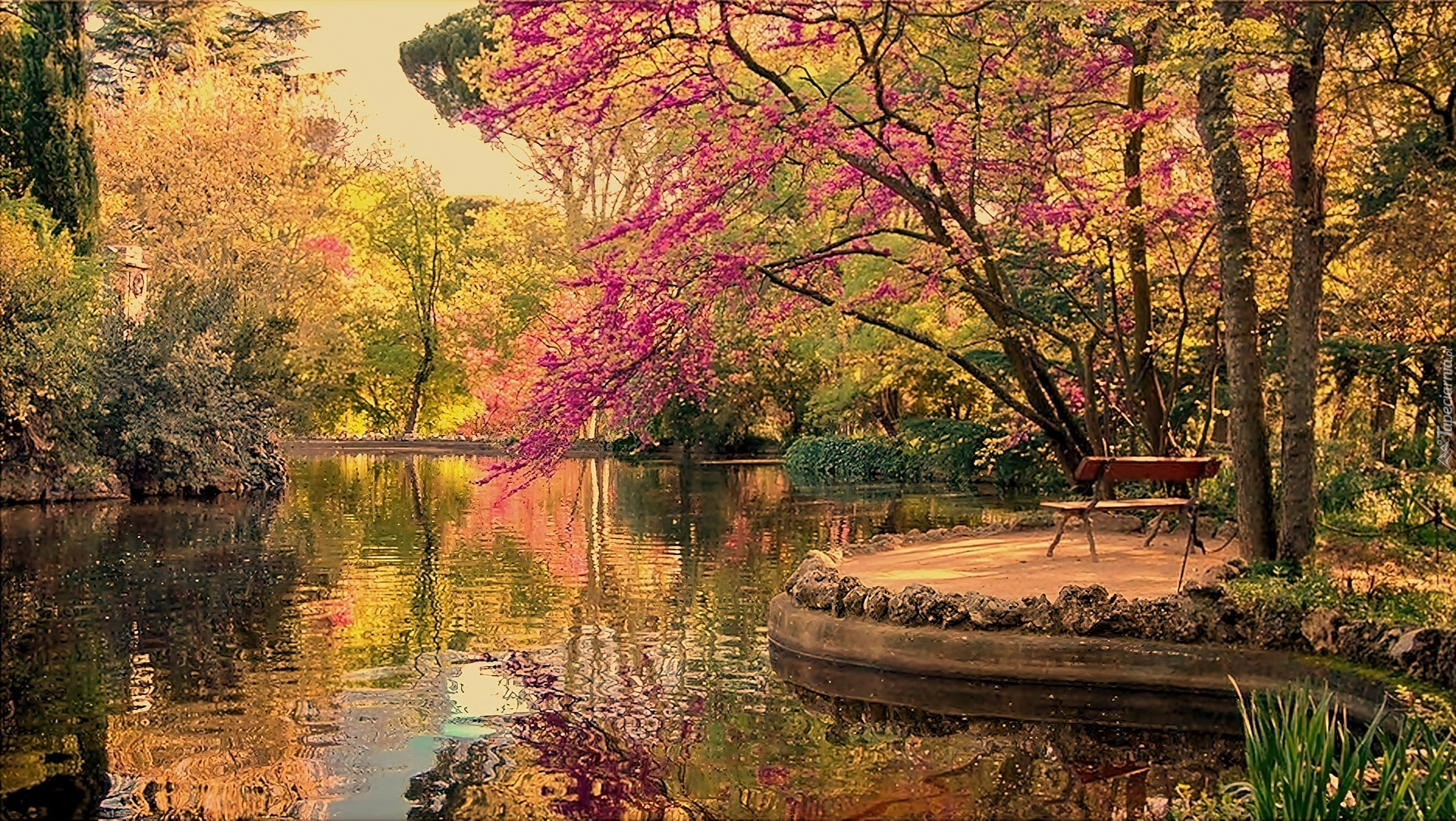 Rzeka, Park, Ławeczka