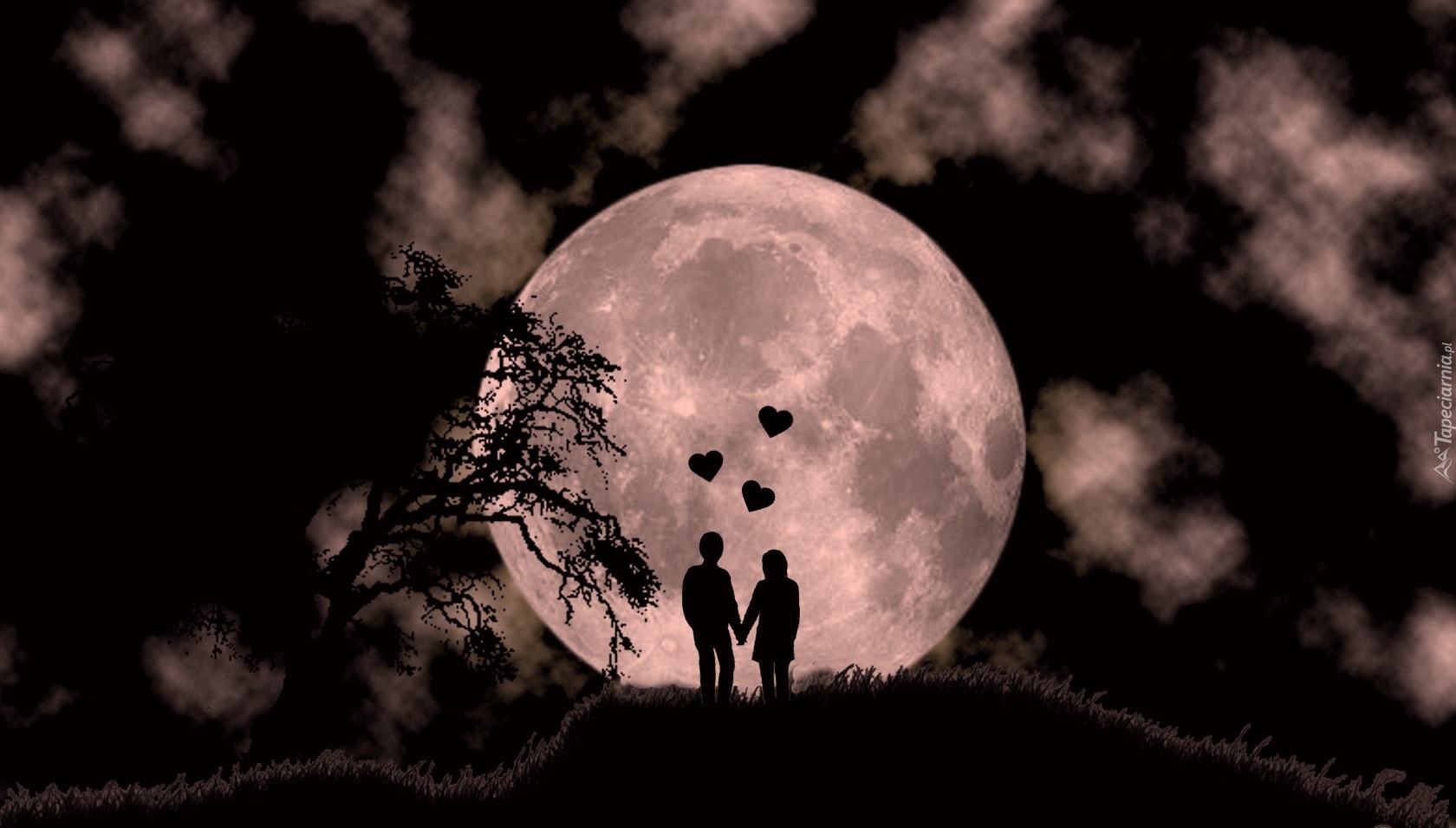 Игры под луной. Влюблённые под луной. Луна пара. Картина девушка и Луна. Рендер под луной.