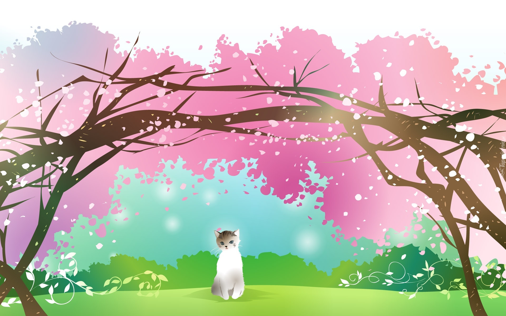 Biały, Kot, Kwitnące, Drzewa