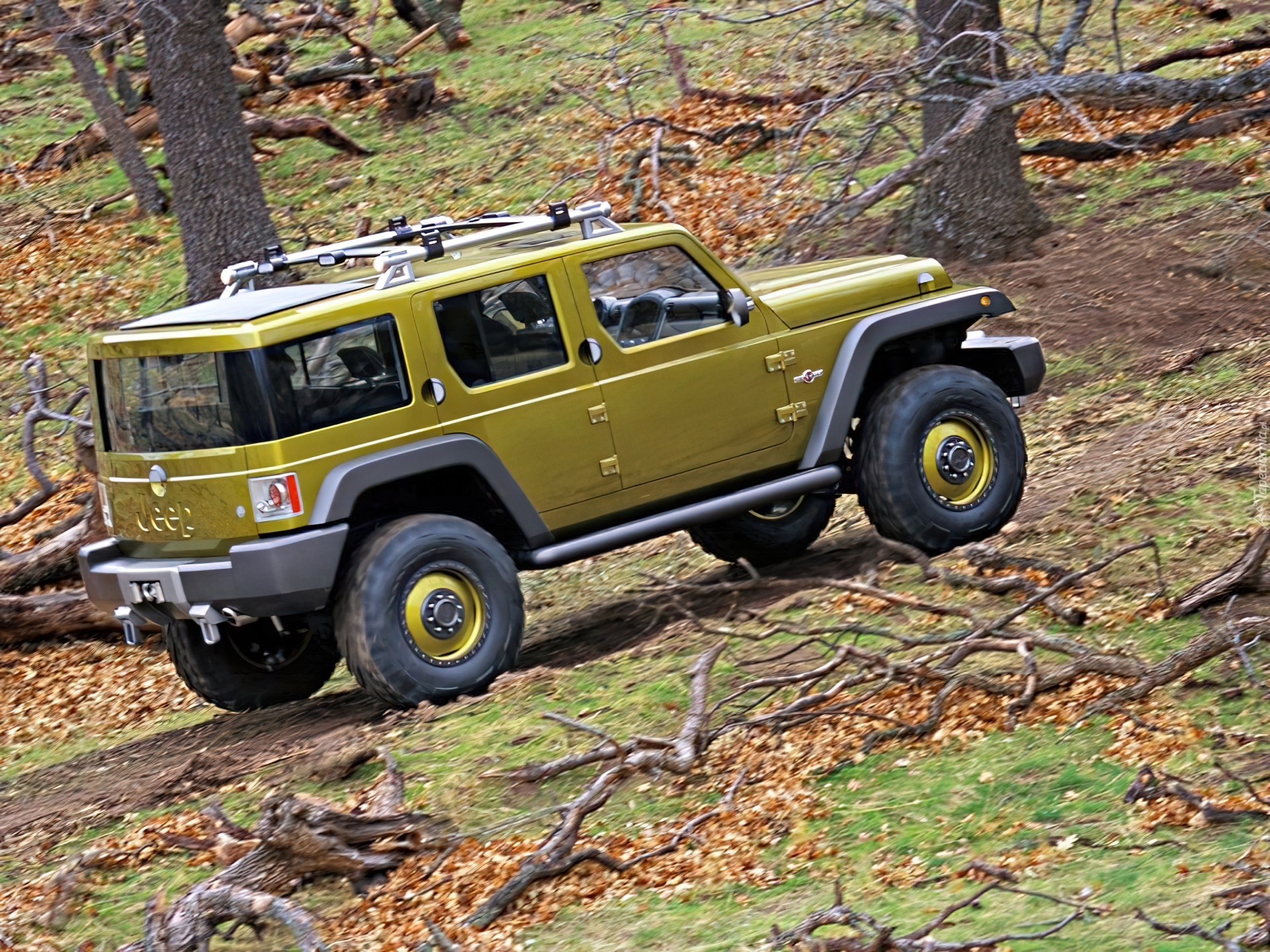 Jeep Wrangler, las