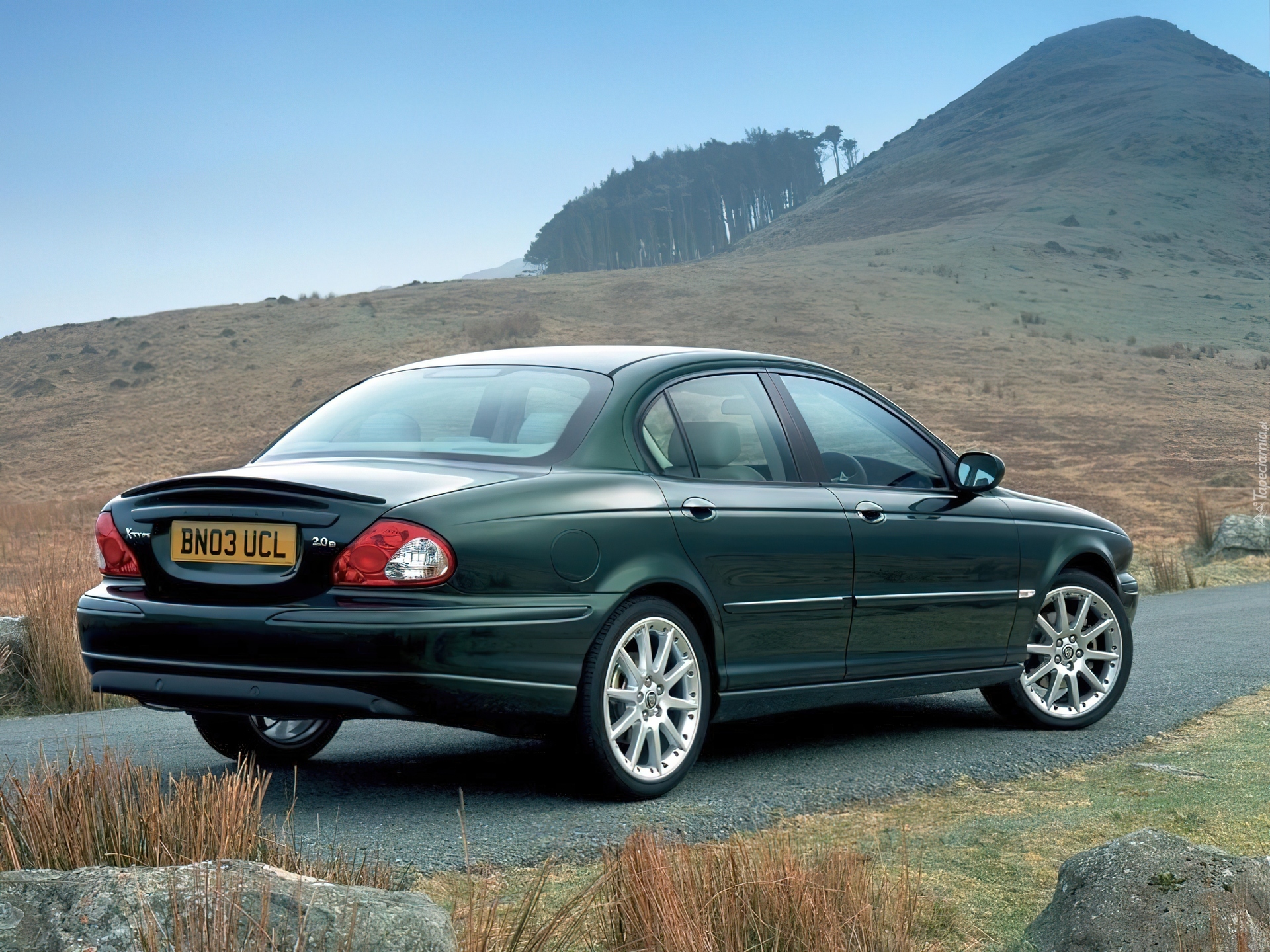 Zielony, Jaguar X-Type