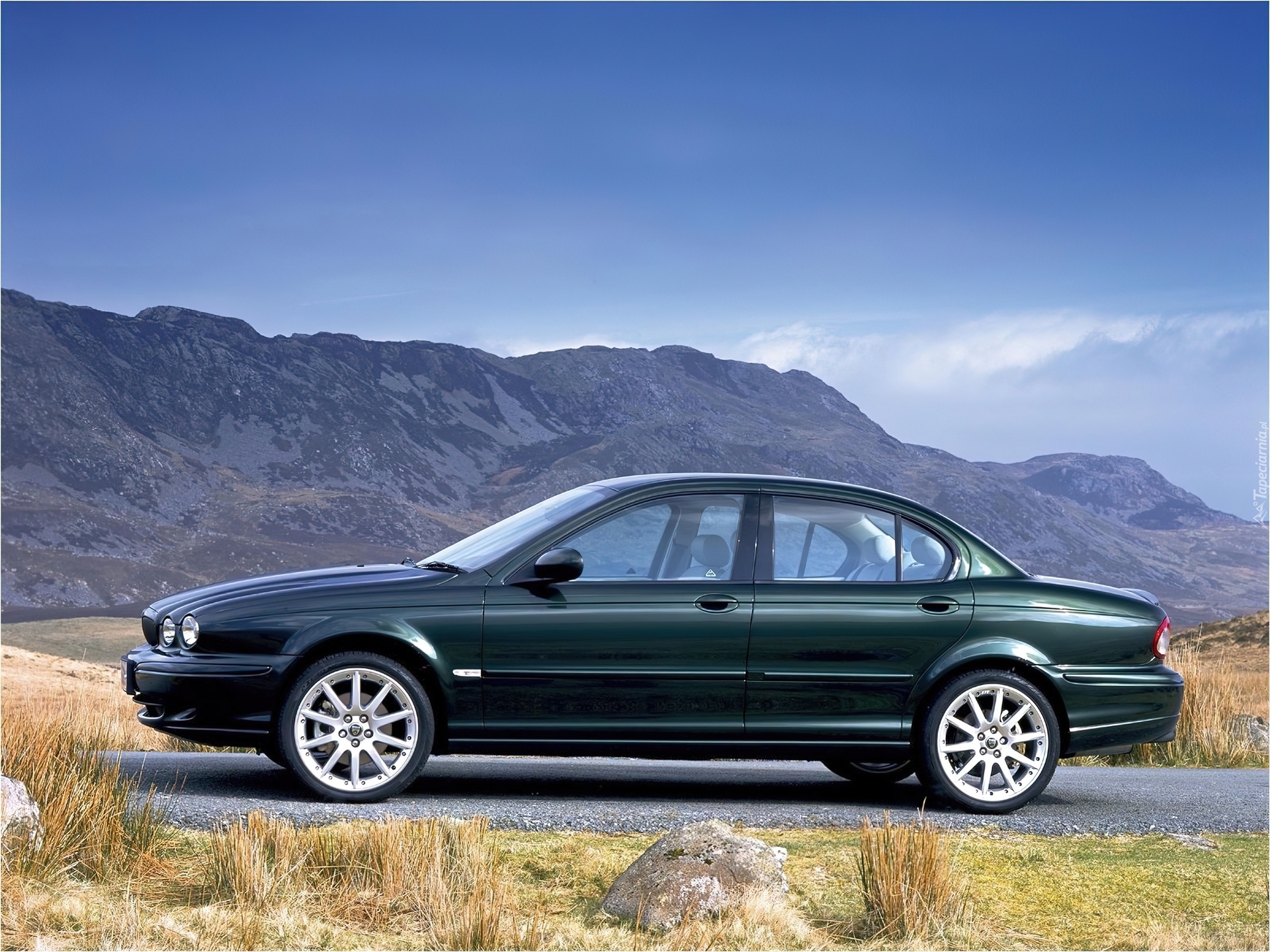 Zielony, Jaguar X-Type